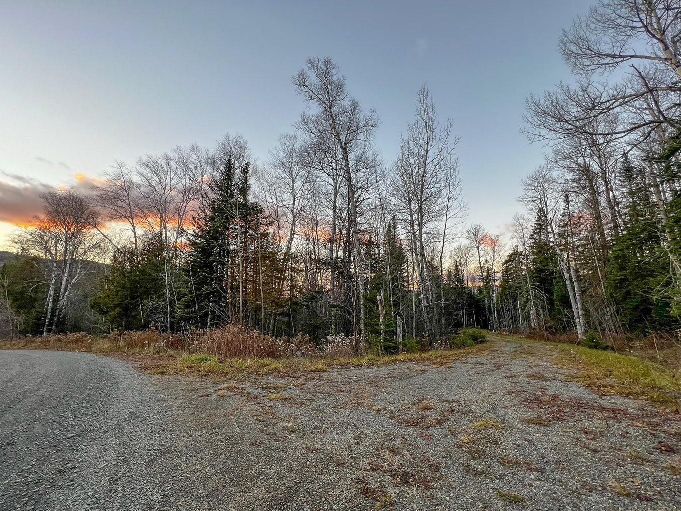 Lot 16 Mill Brook Road, Sandy River Plt, ME, 04970