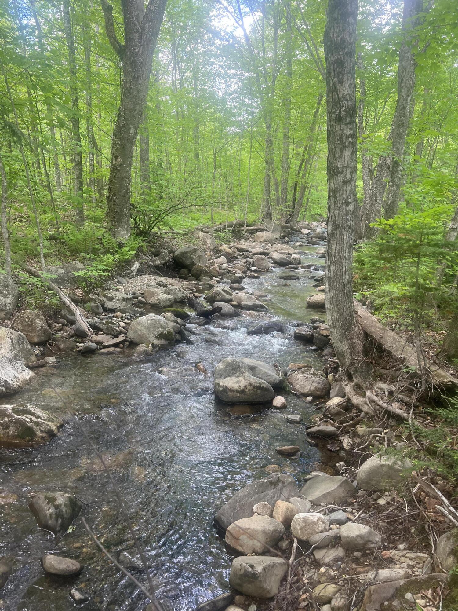 LOT A Taylor Woods Road, Temple, ME, 04984