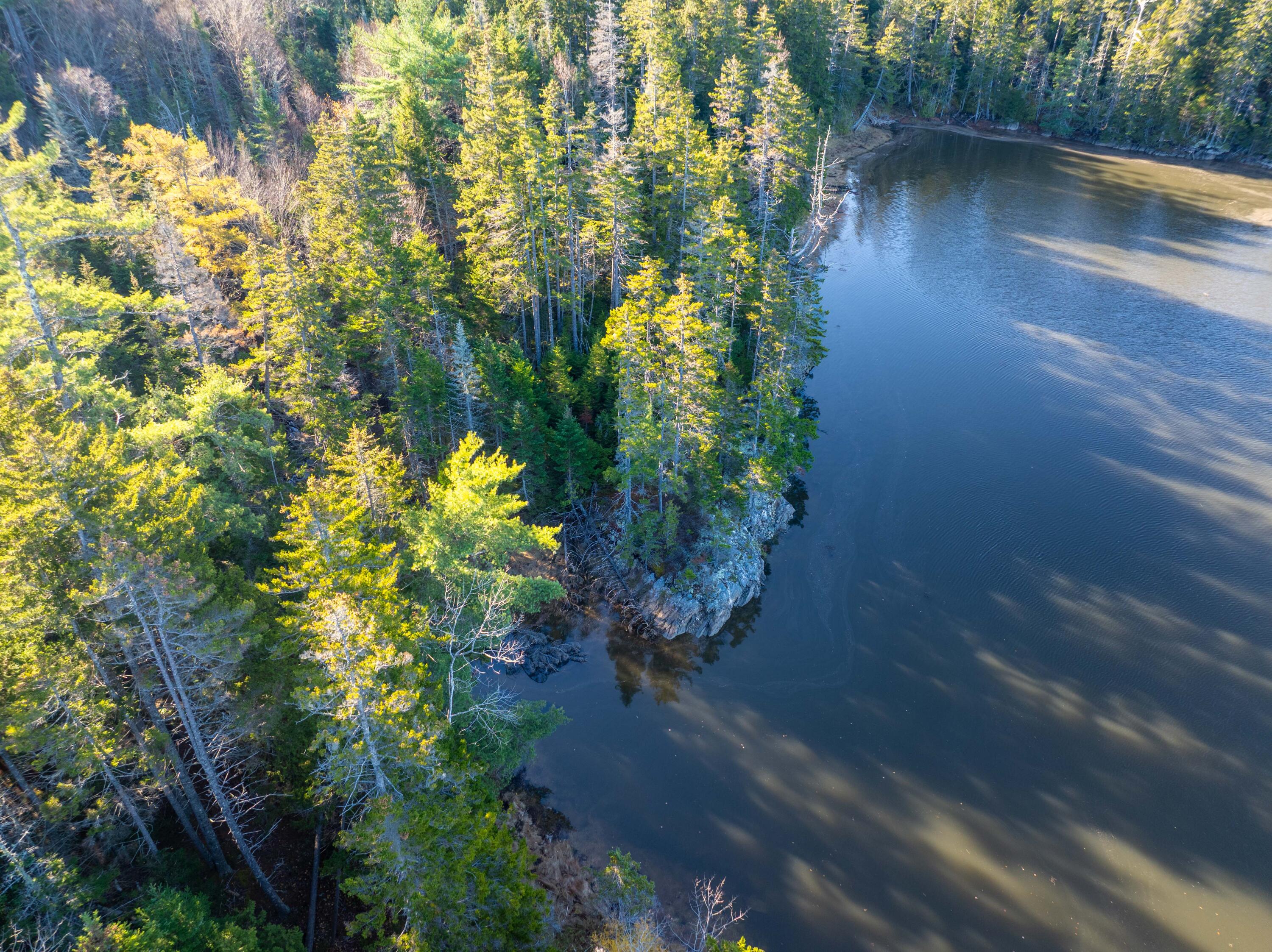 01-4 WA035, Trescott Twp, ME, 04652