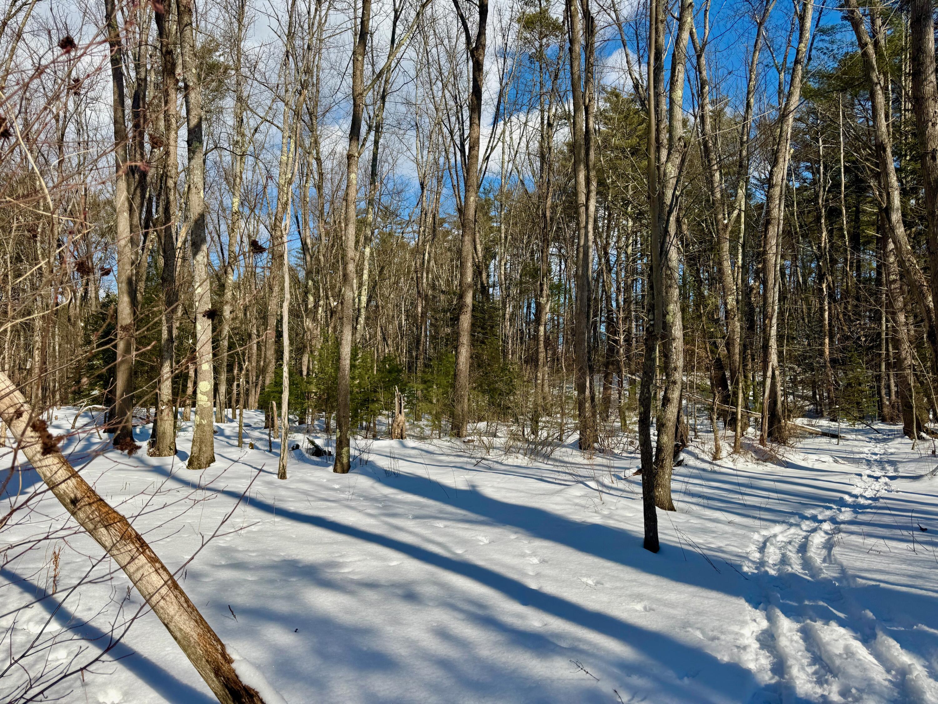 TBD Swans Falls Road UNIT Lot A, Fryeburg, ME, 04037