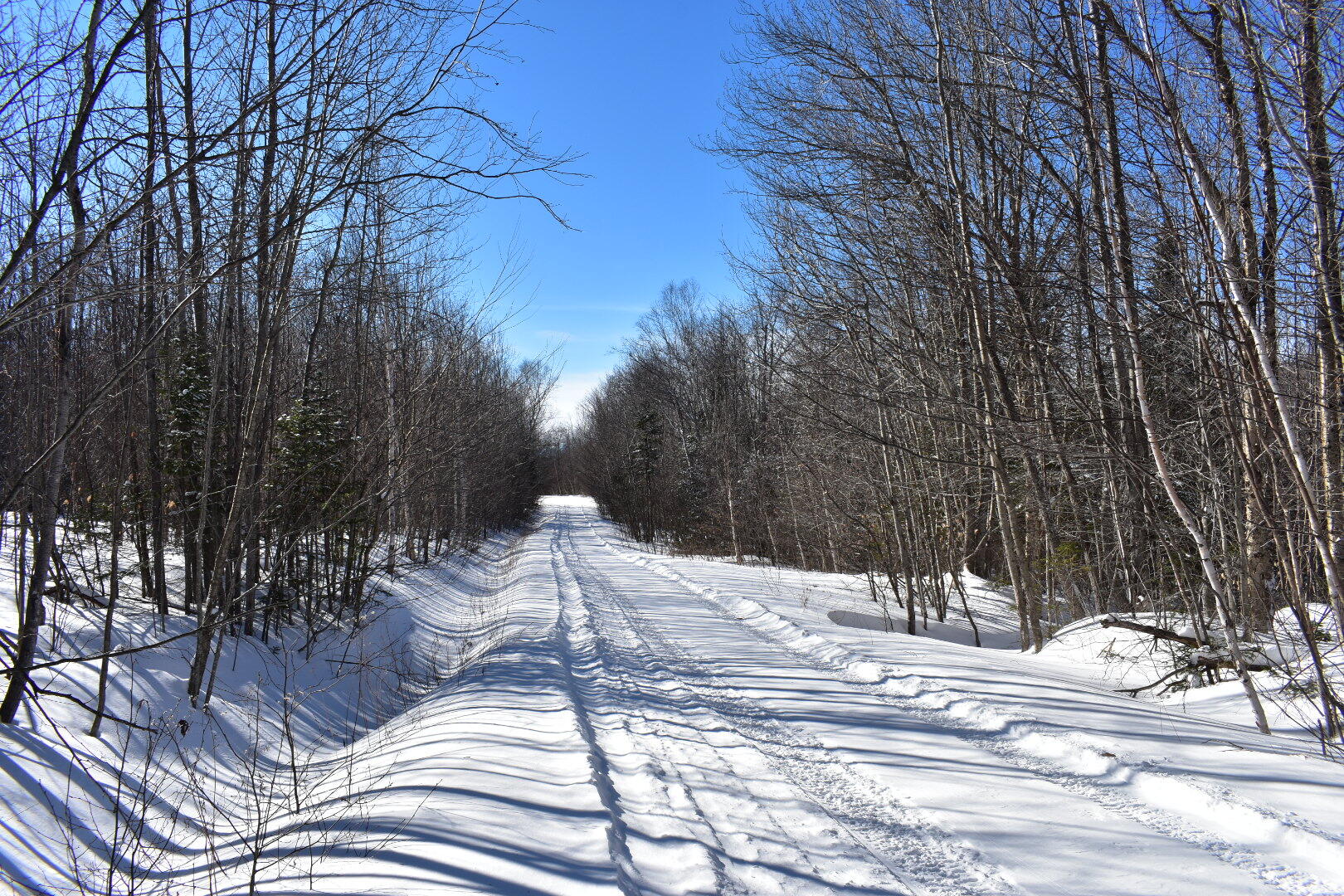 019 BEAR Lane, Rumford, ME, 04276