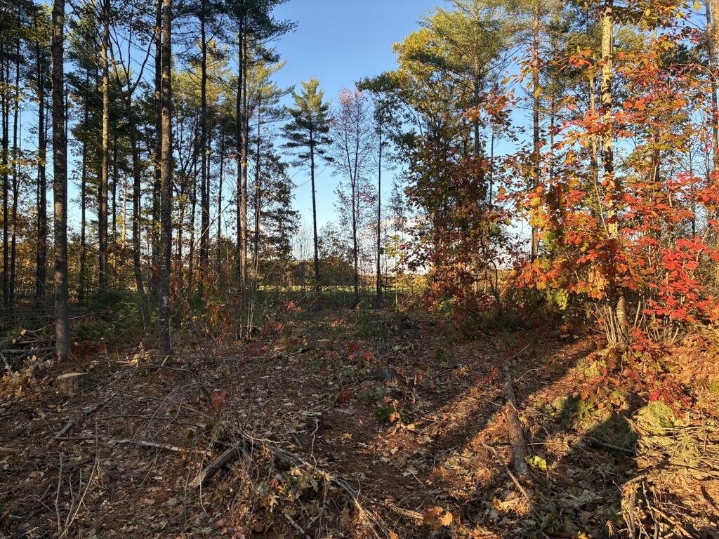 Lot 16 (1) Whittier Road, Farmington, ME, 04938