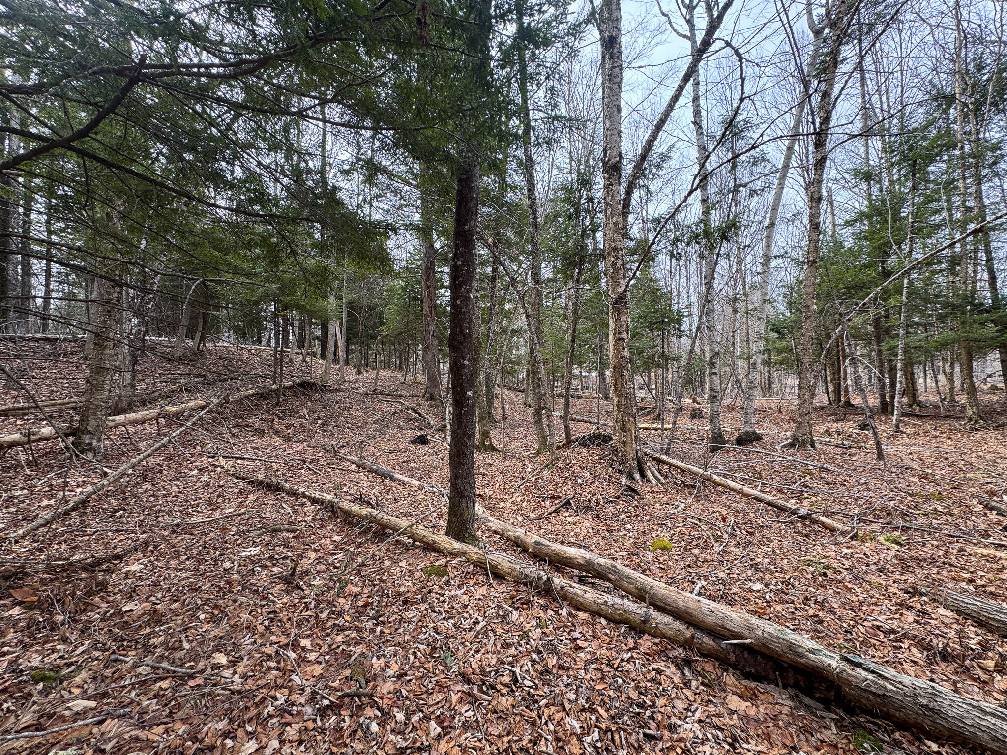 M11L10 Off Gordon Hill Road, Thorndike, ME, 04986