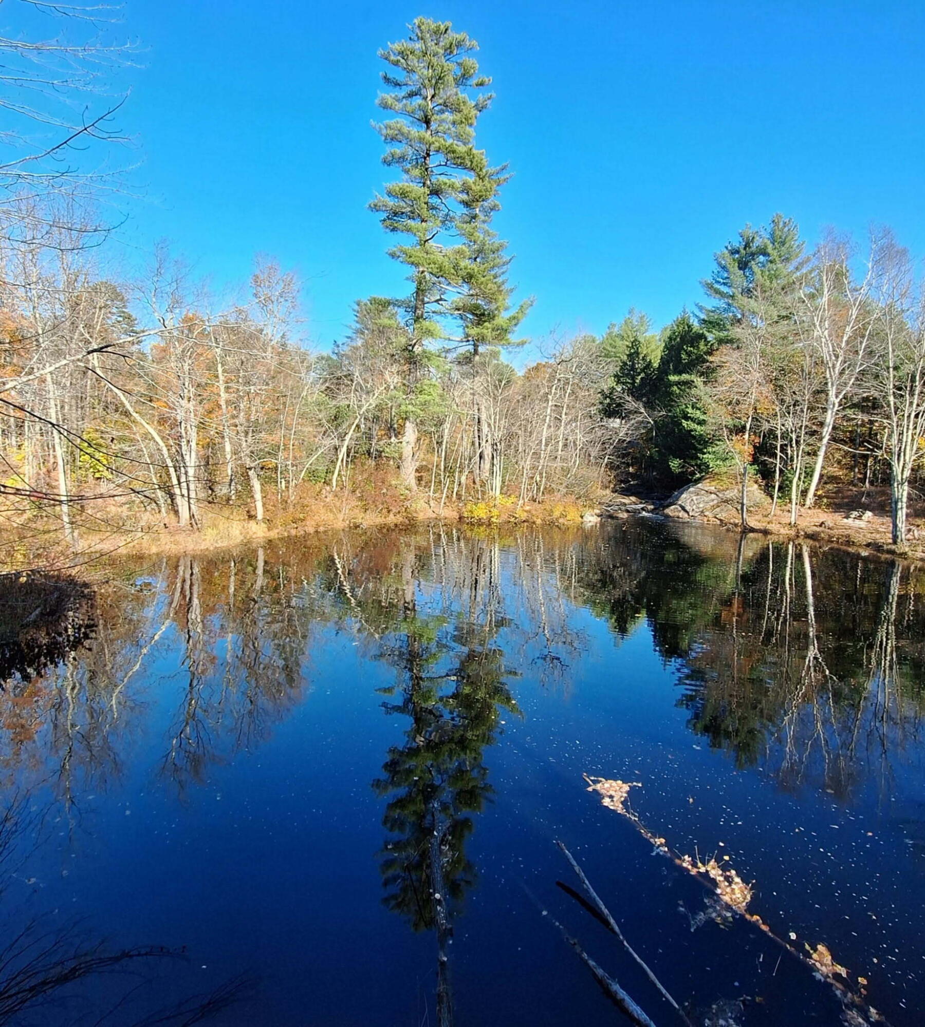 14 Butterfield Road, Sumner, ME, 04292