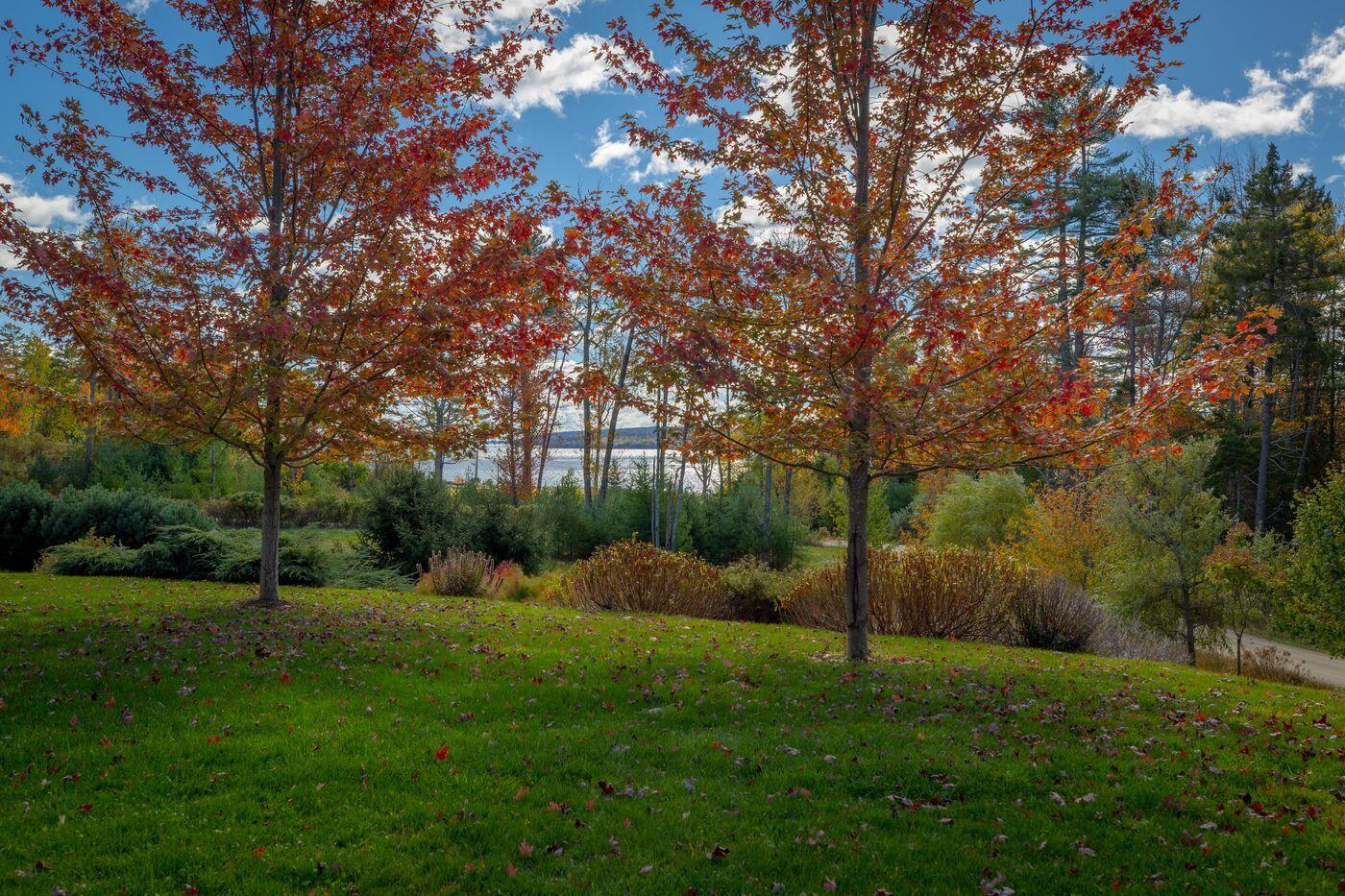 31 Windswept Lane, Blue Hill, ME, 04614