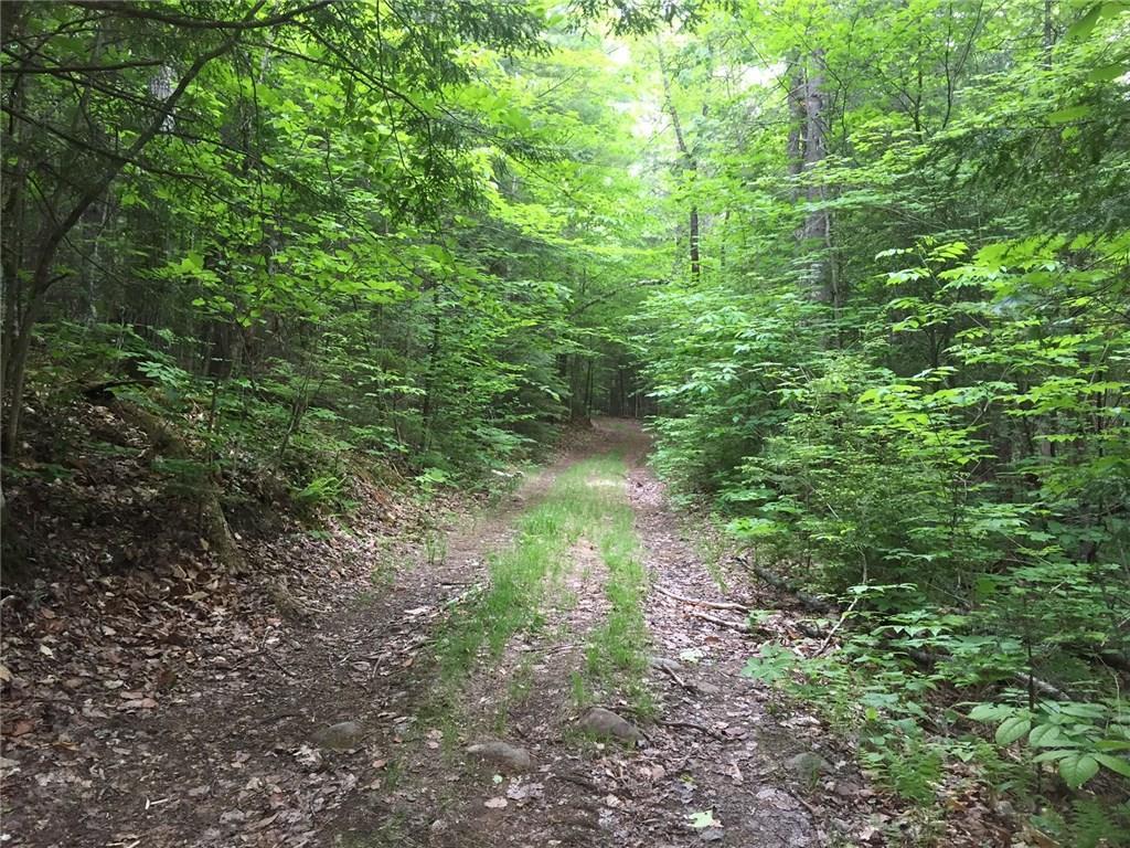 0 Richardson Hollow & Young Hill Road, Greenwood, ME, 04255