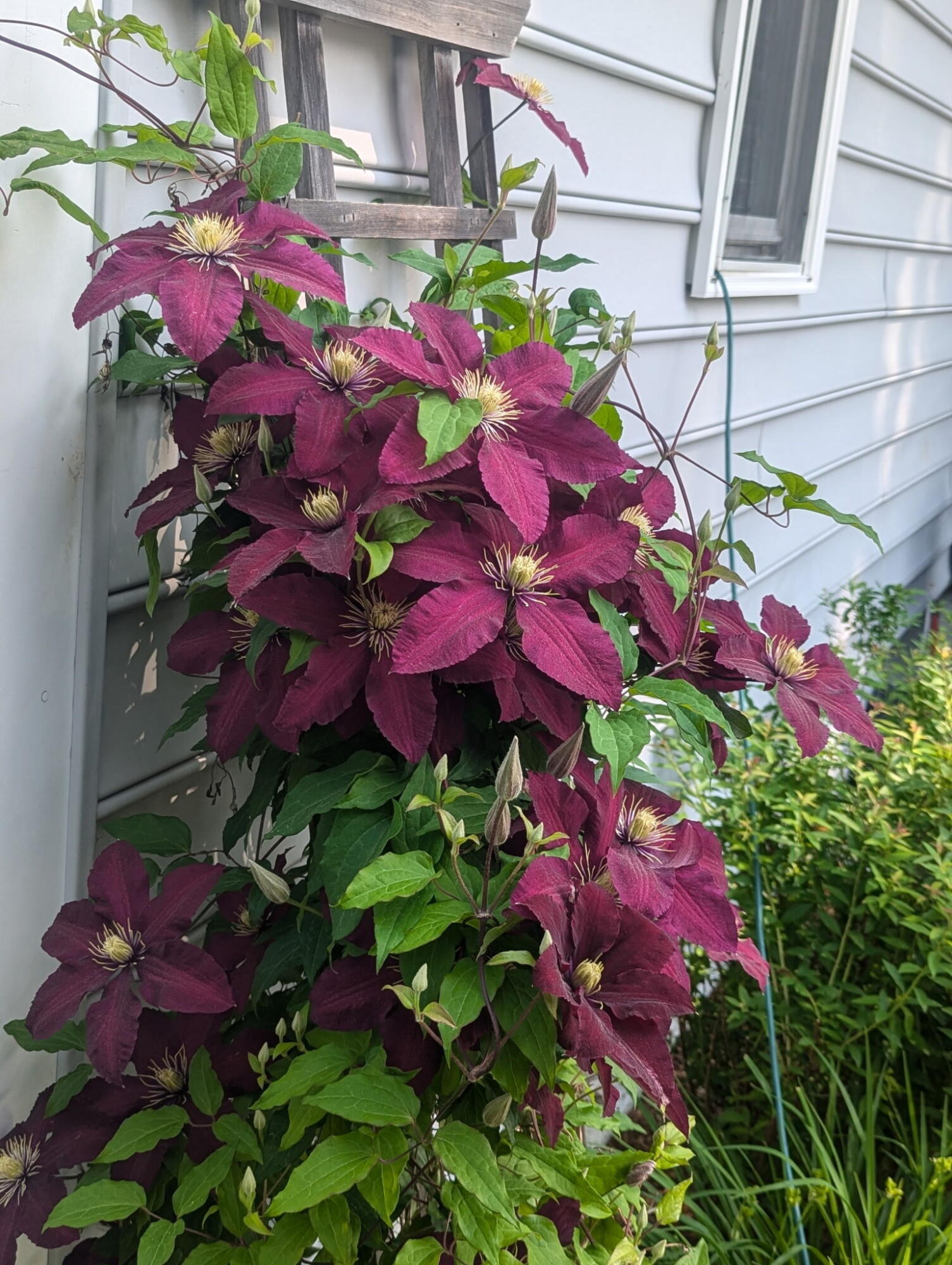 48 Pennell Avenue, Portland, ME, 04103