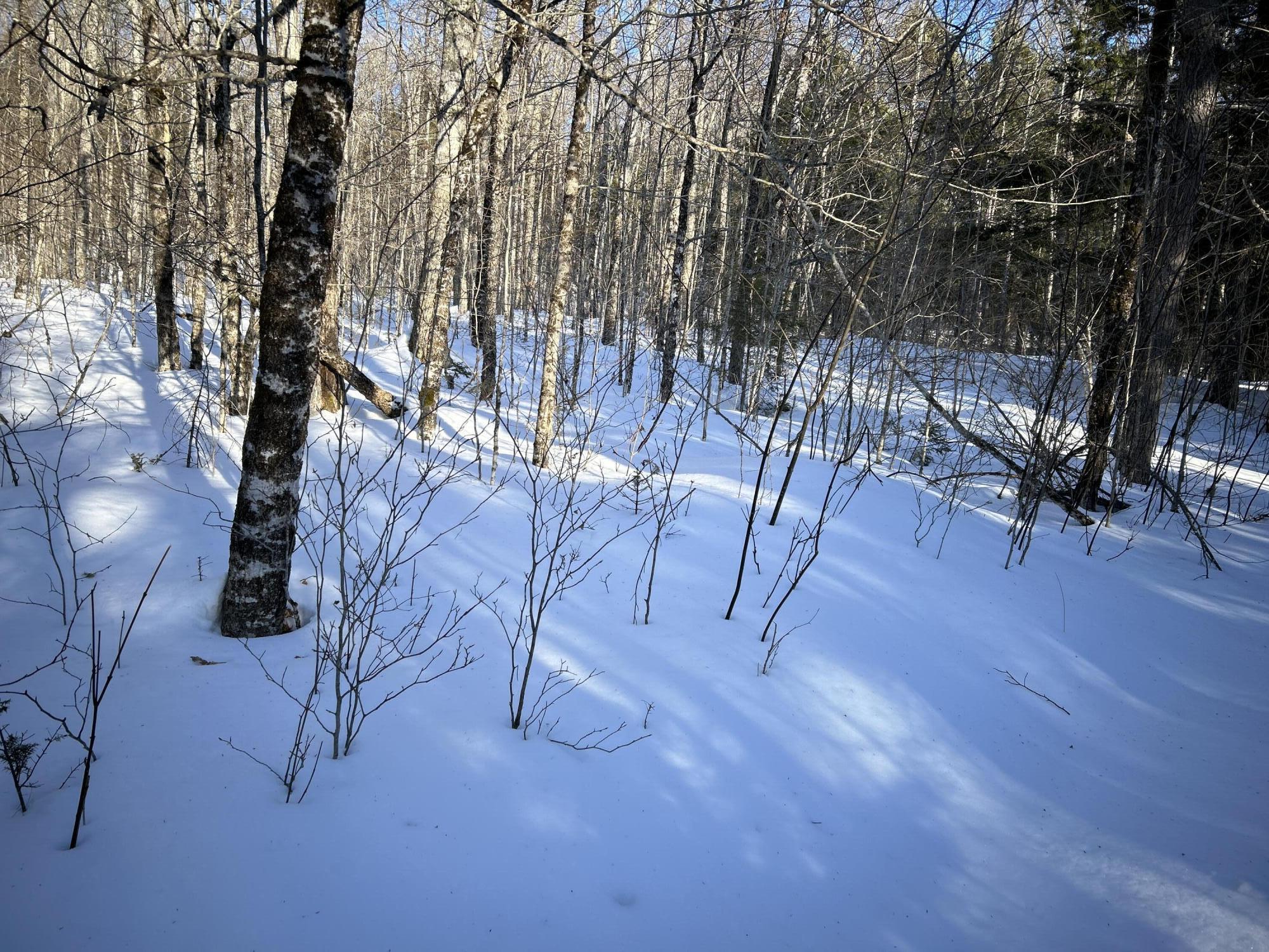 M7L22 Nelson Ridge Road N, Washington, ME, 04574