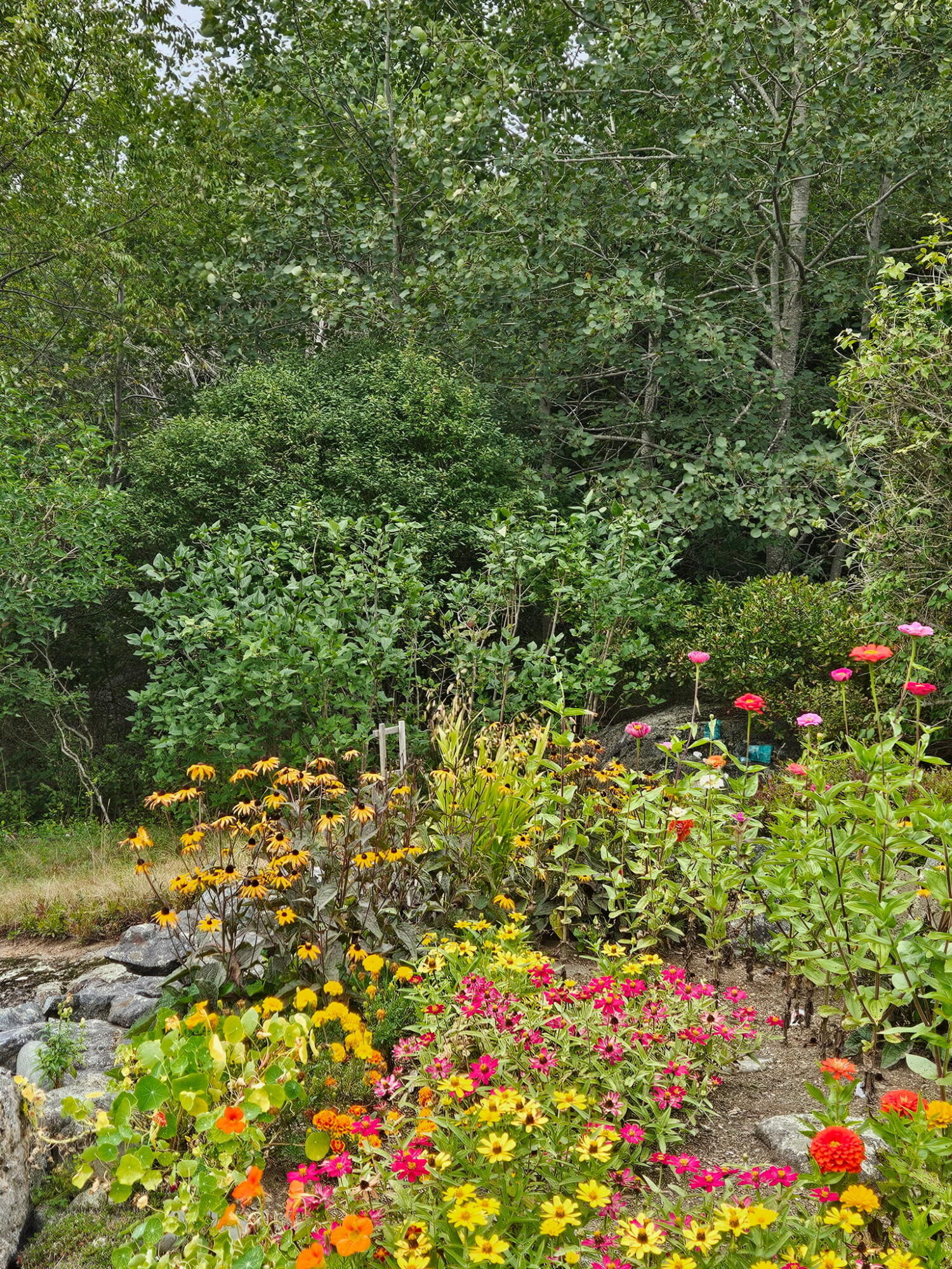 63 Raccoon, Cushing, ME, 04563