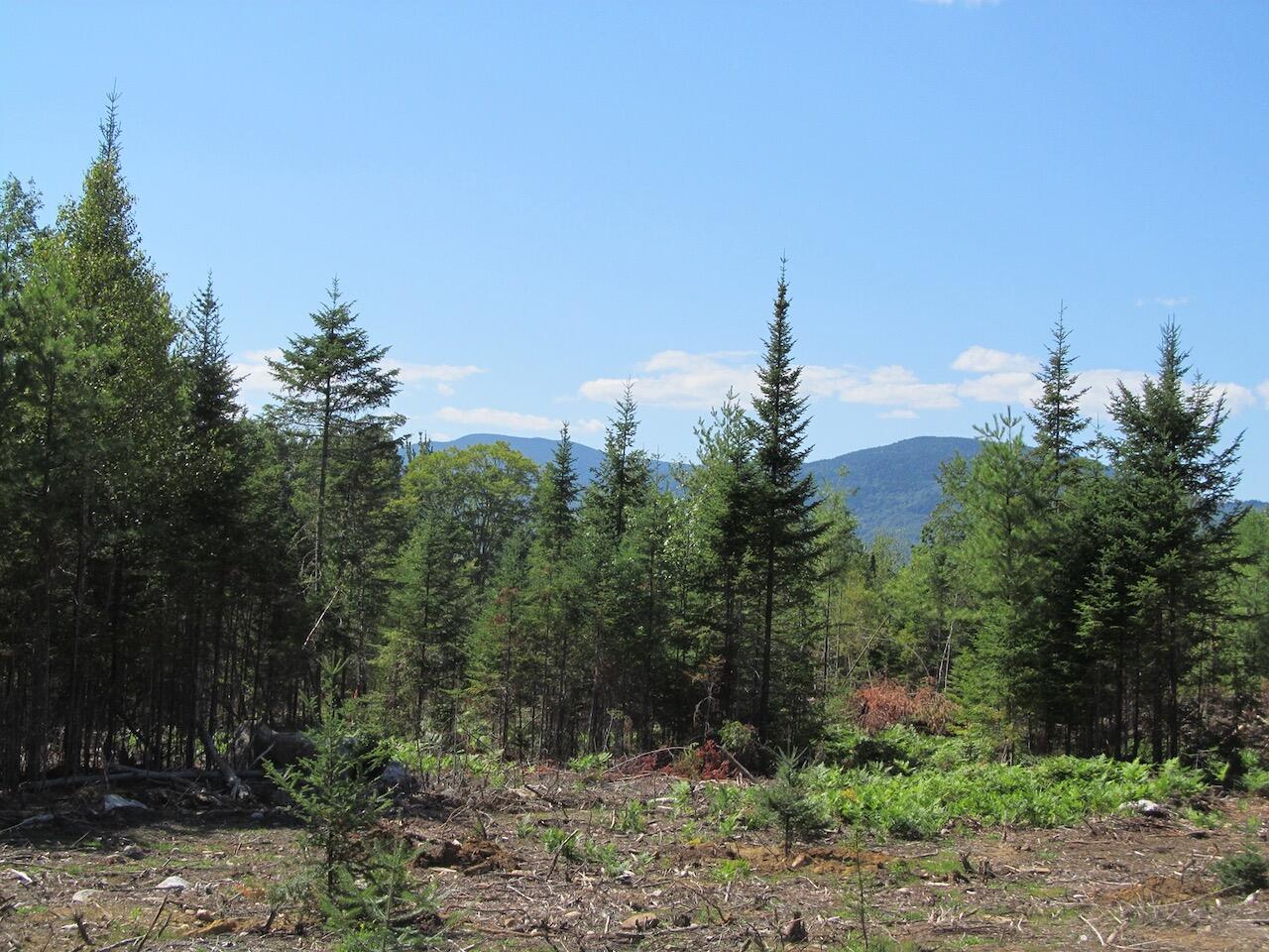 929 Center Hill Road Road, Weld, ME, 04285