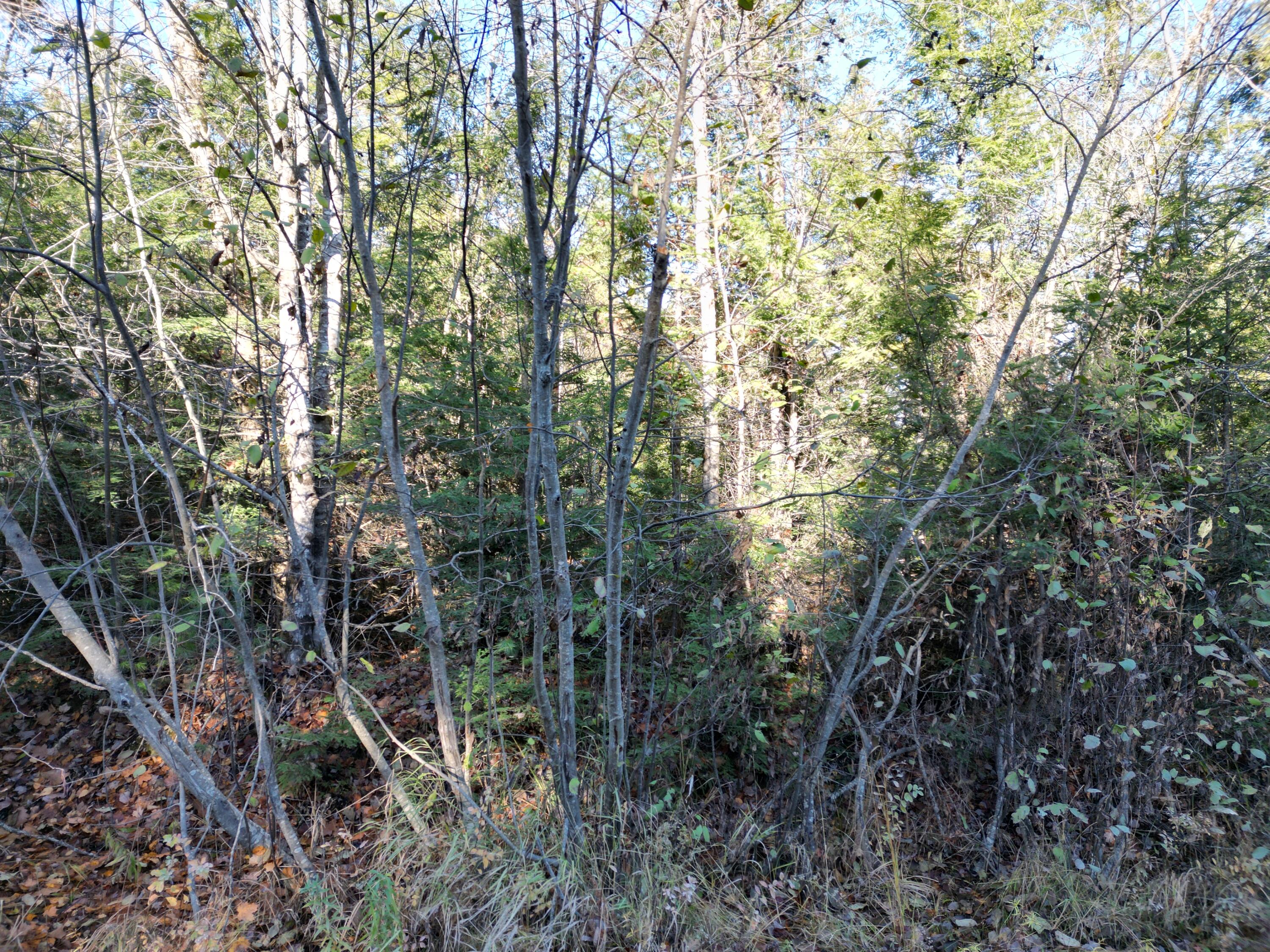 Lot 18-1 Mattamiscontis Road, Howland, ME, 04448