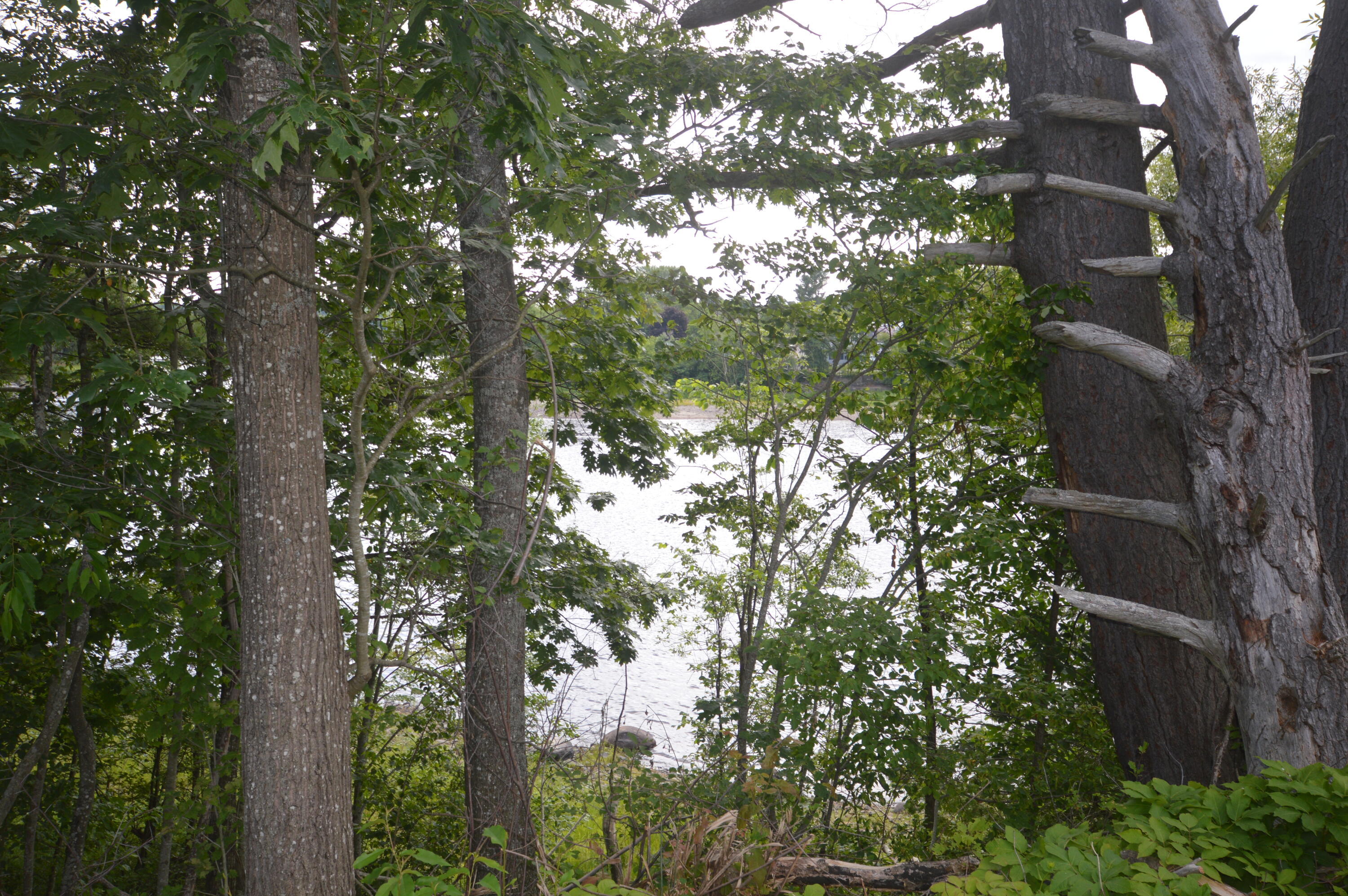 118 Bradley Road, Milford, ME, 04461