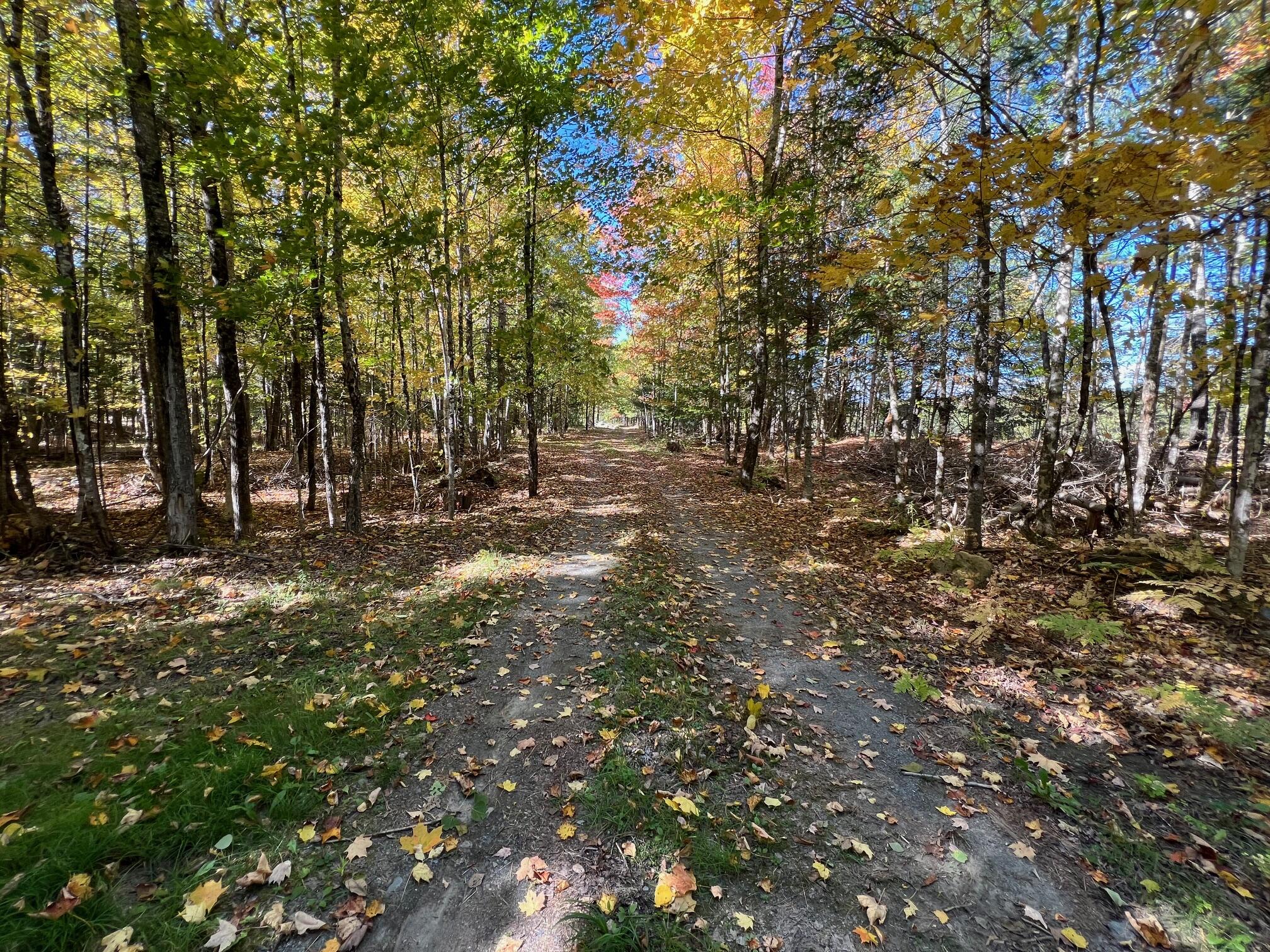 Map 10 Lot 68A Snows Pond Road, Dover-foxcroft, ME, 04426