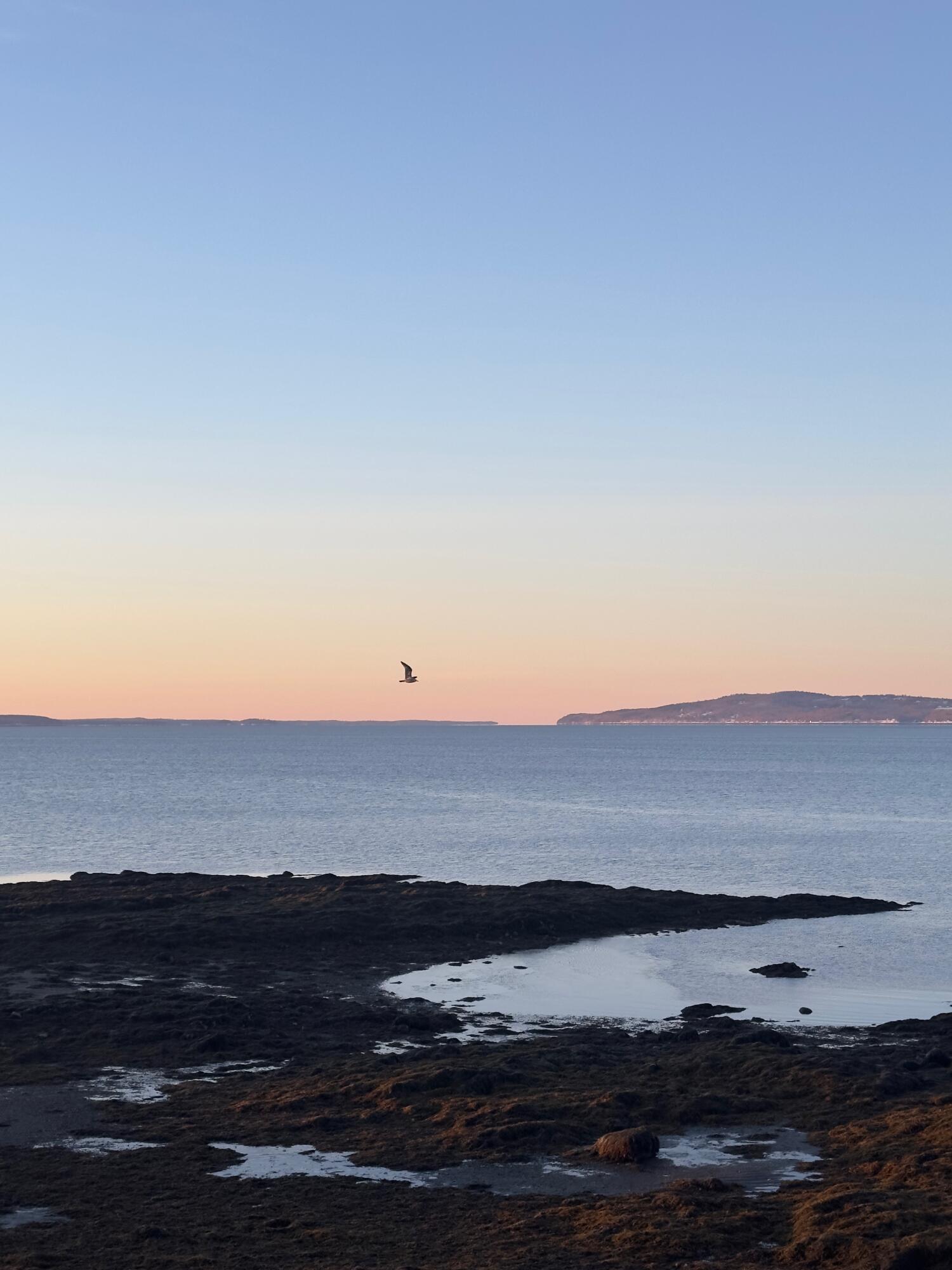 8 Summer Street, Searsport, ME, 04974