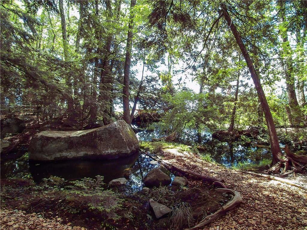 37 Loon Drive, Newport, ME, 04953