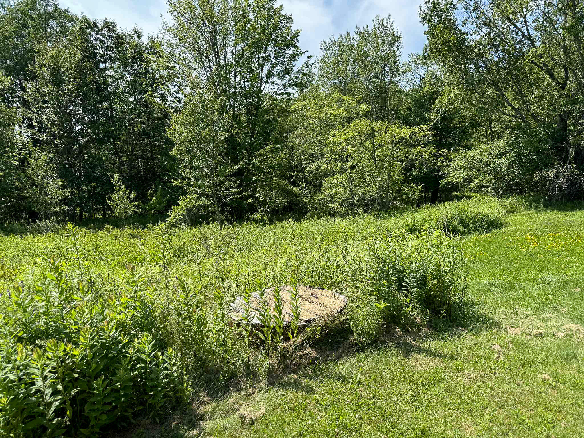 249 Blacks Woods Road, Cherryfield, ME, 04622