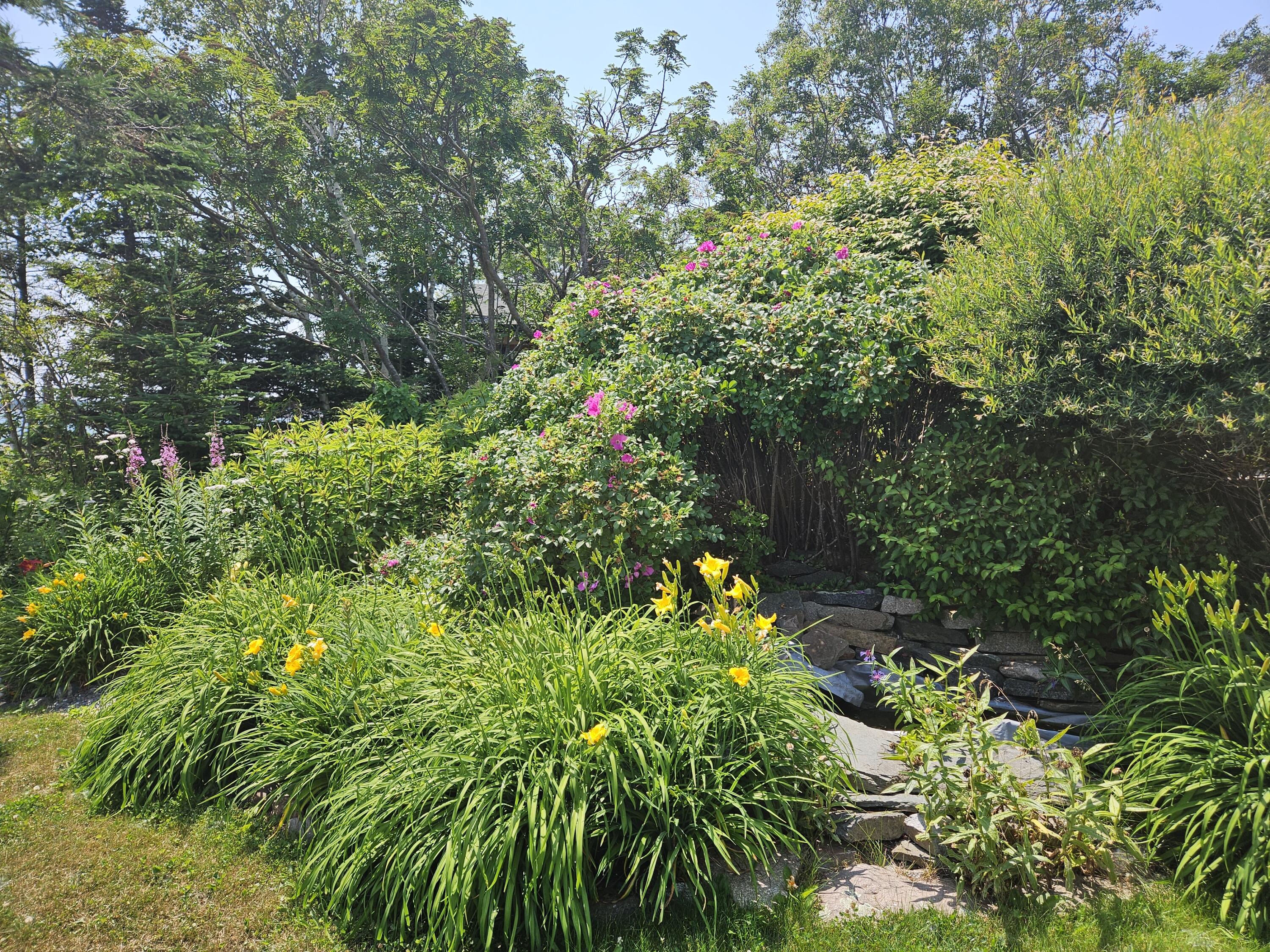 541 Mason Bay Road, Jonesport, ME, 04649