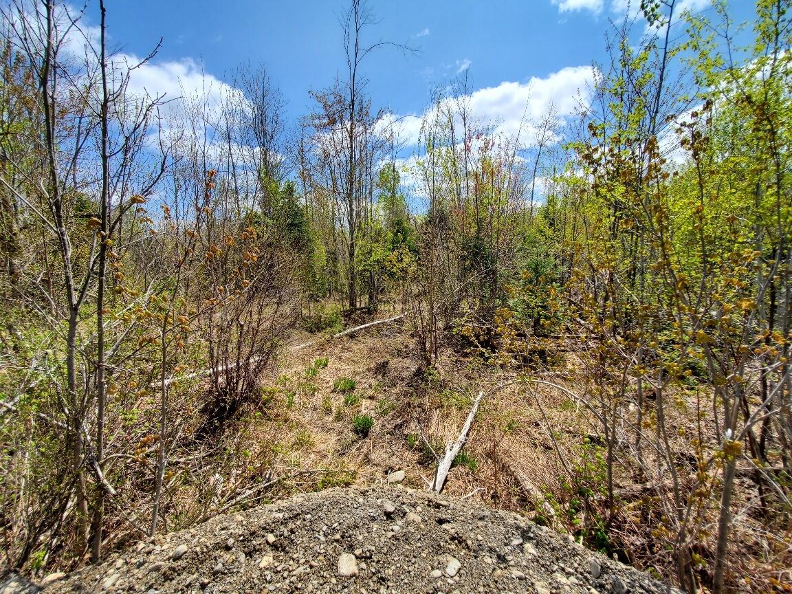 LotUNIT&nbsp;2 Cone Road, Amity, ME, 04471