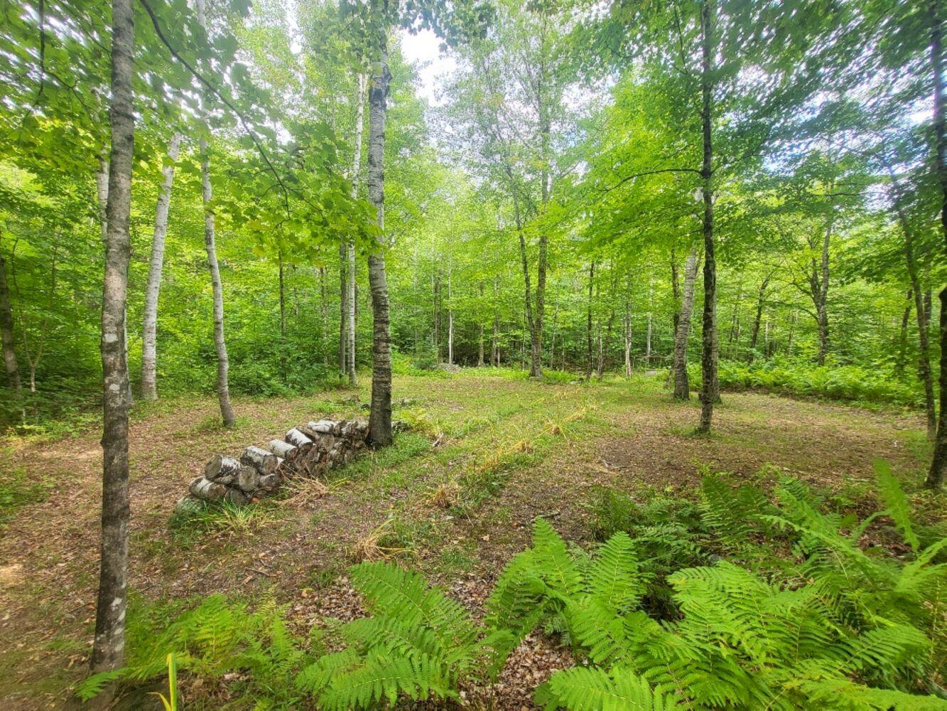 189 Basin Road, Carthage, ME, 04224