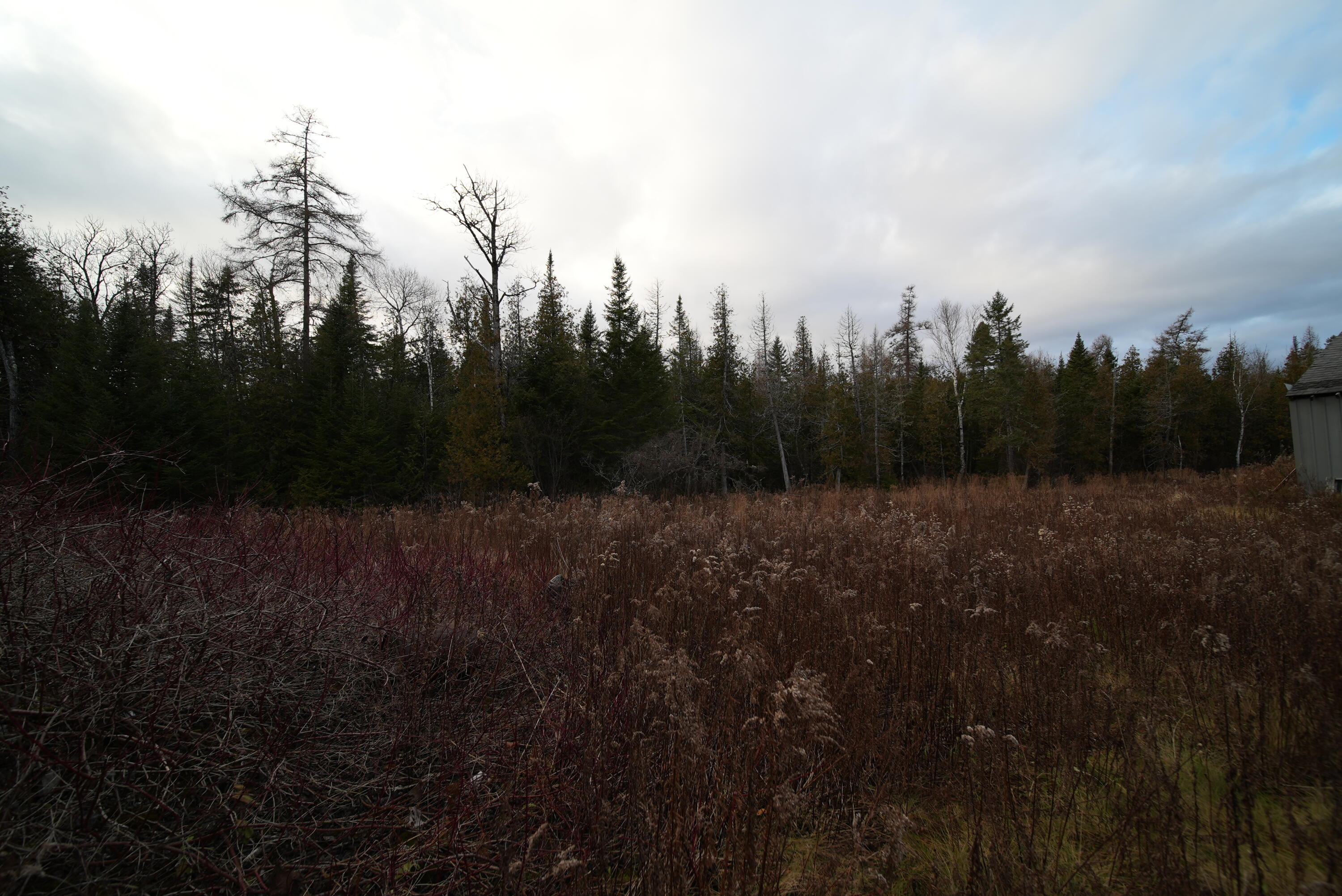 228 U.S. Route 1, Bridgewater, ME, 04735