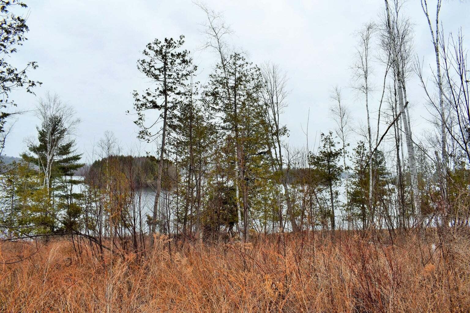 PO72,P090 Cotta Lane & RT 43, Saint Albans, ME, 04971