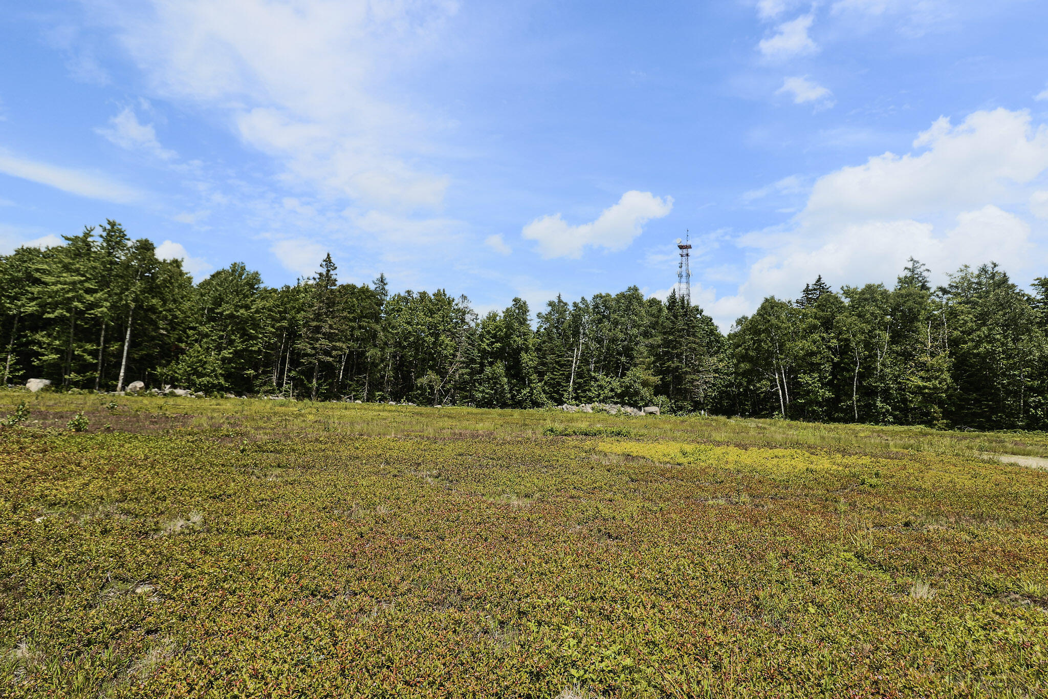 MAP13LOT9 Martins Ridge Road, Franklin, ME, 04634