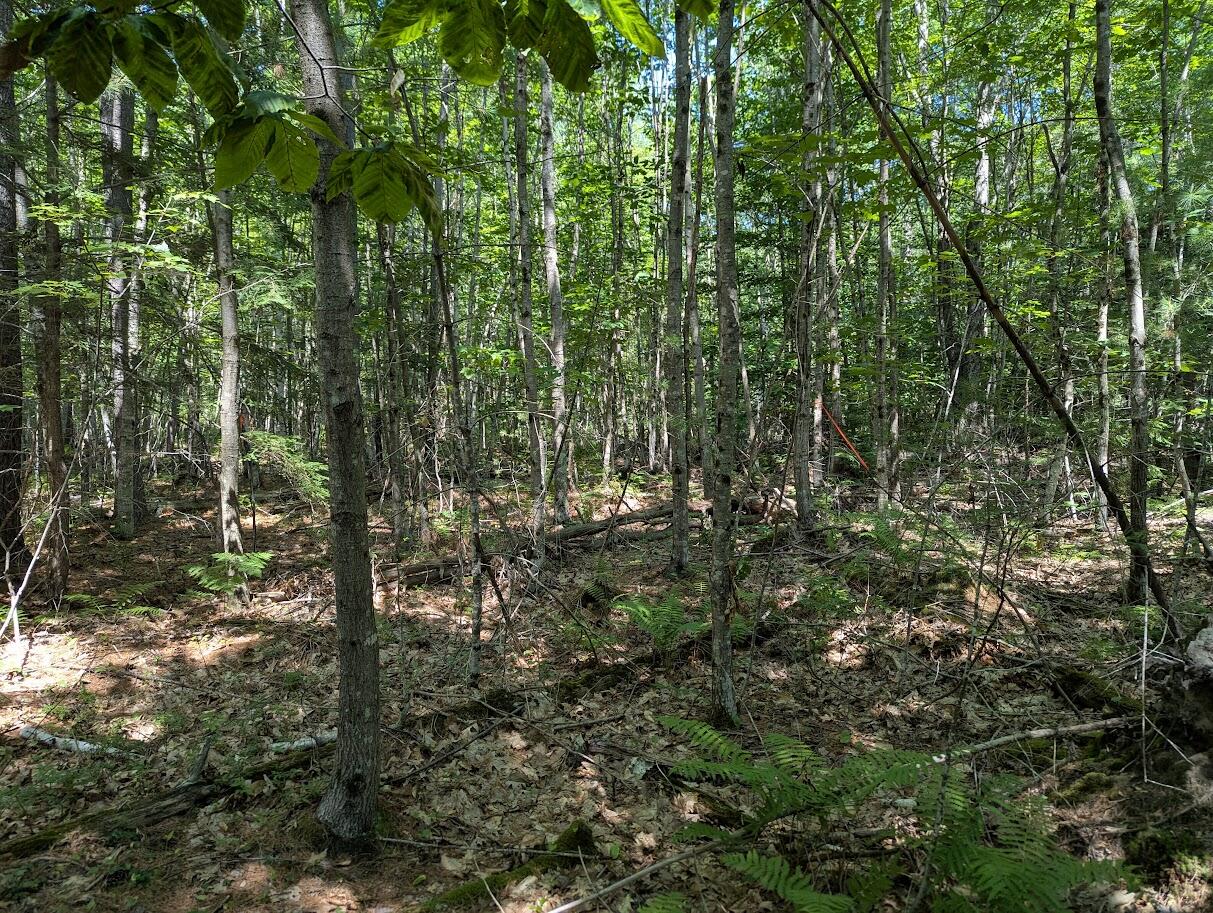 0 Beech Ridge Road, Scarborough, ME, 04074