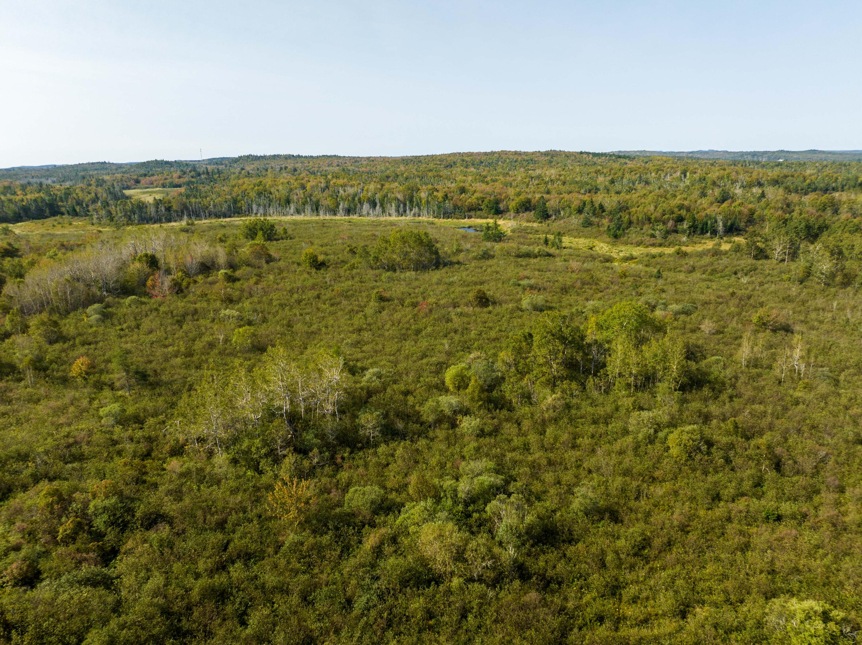 117 Denbow Road, Lubec, ME, 04652