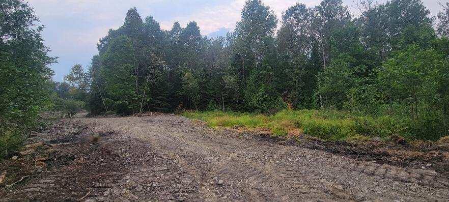 005-005 Grendell Road, Chapman, ME, 04757