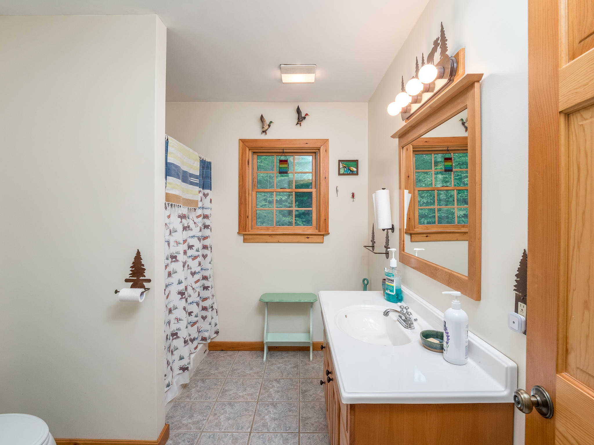 20 Hickory Drive, Woodstock, ME, 04219-2003