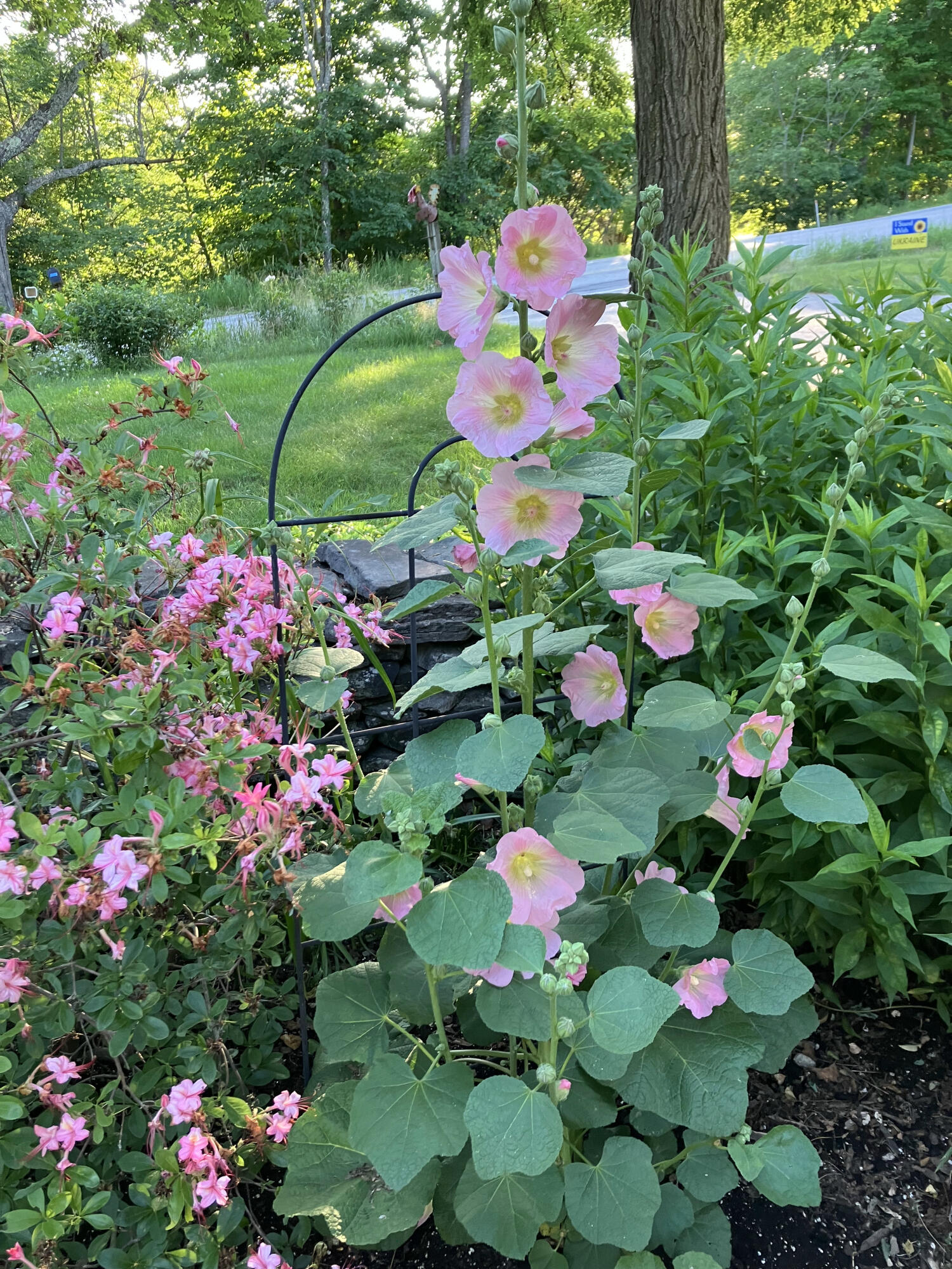 482 Back Road, Shapleigh, ME, 04076