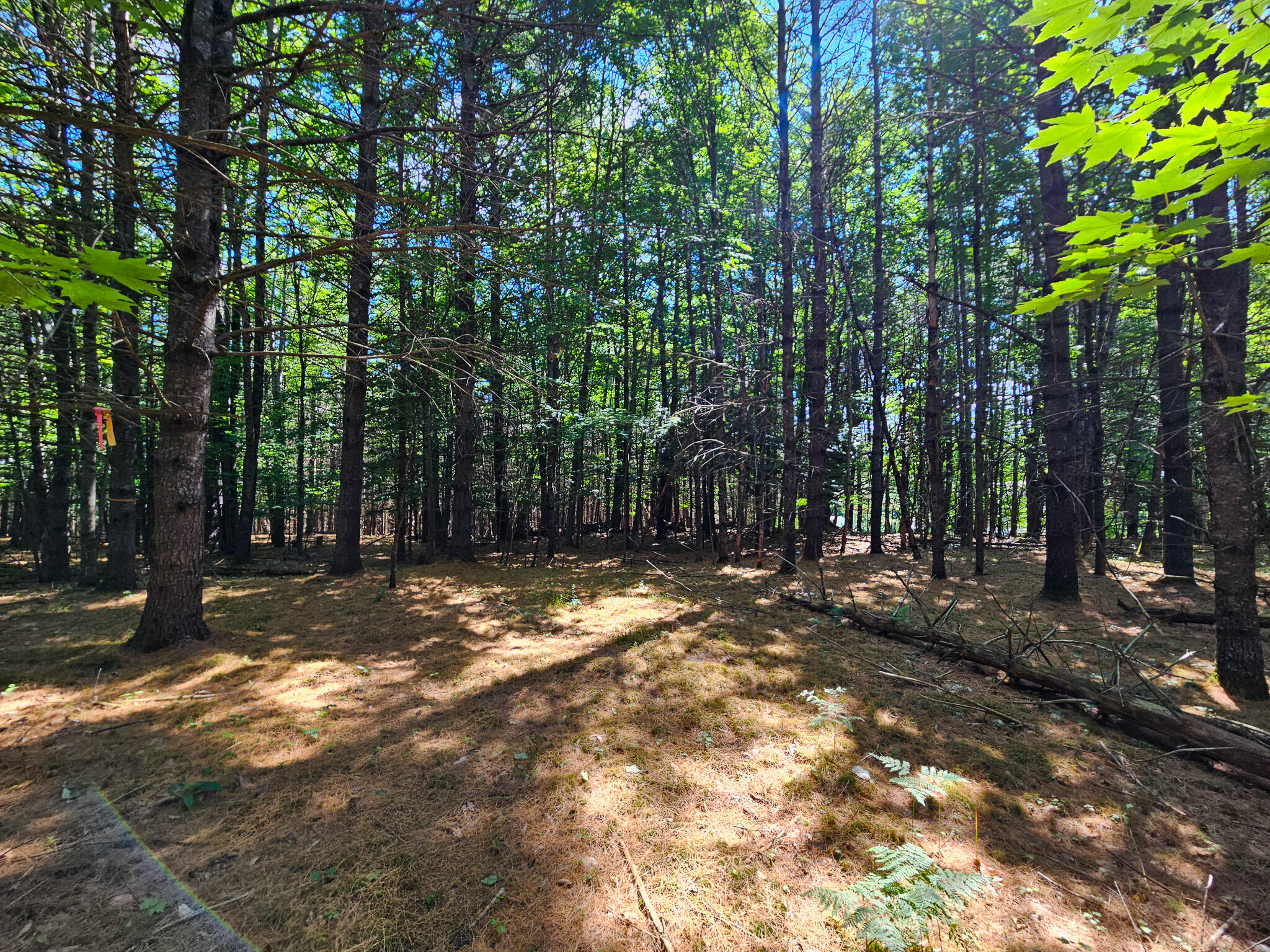 11-31-C Stone Hill Road, Farmington, ME, 04938