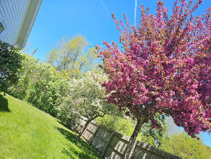 14 Seal Cove Road, Southwest Harbor, ME, 04679