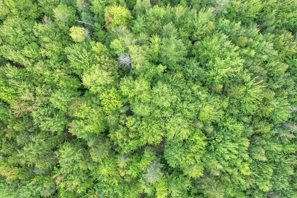 Lot 5 Foggy Ridge Way, Ellsworth, ME, 04605