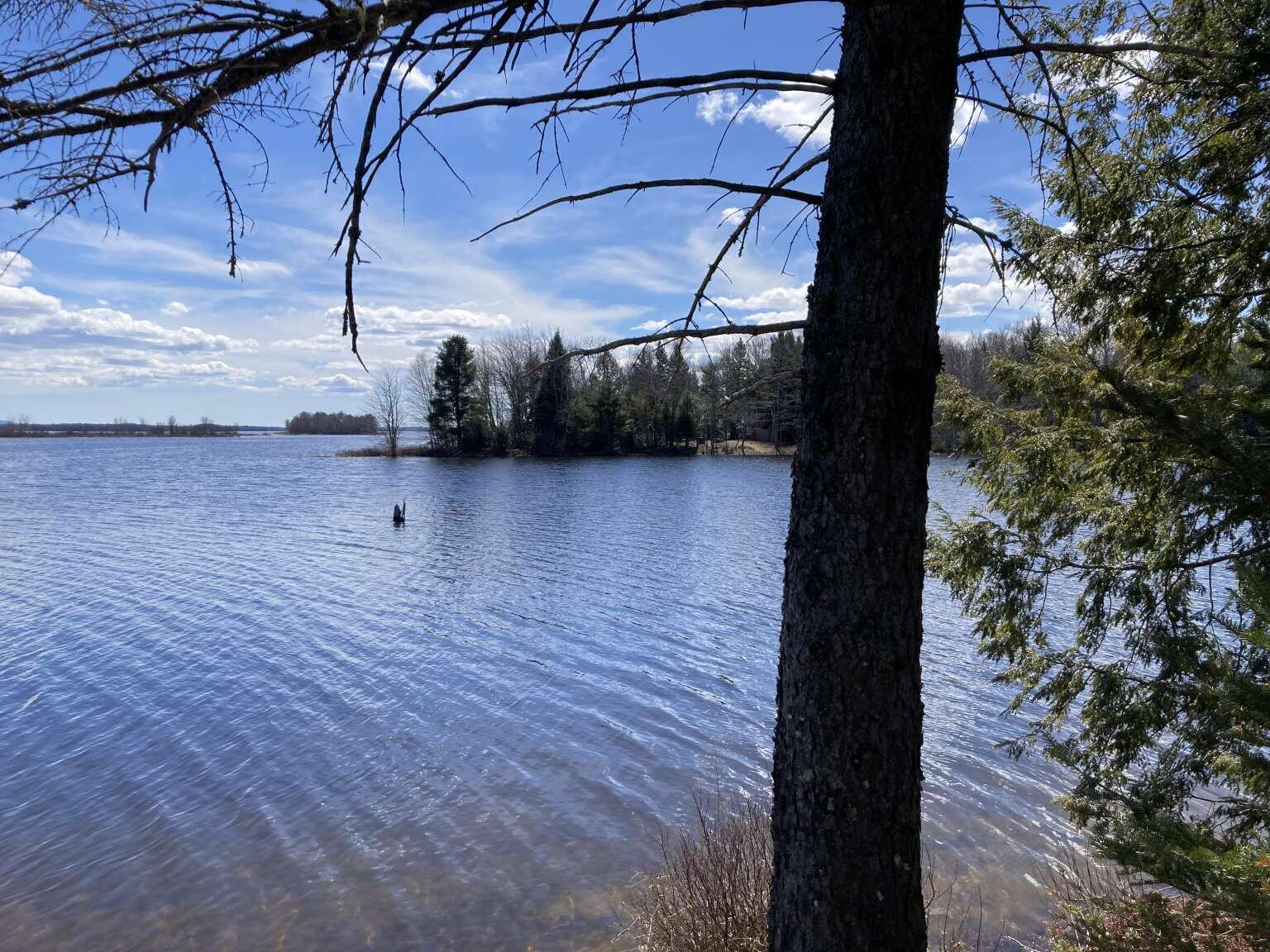 242 Tannery Brook Road, Mariaville, ME, 04605