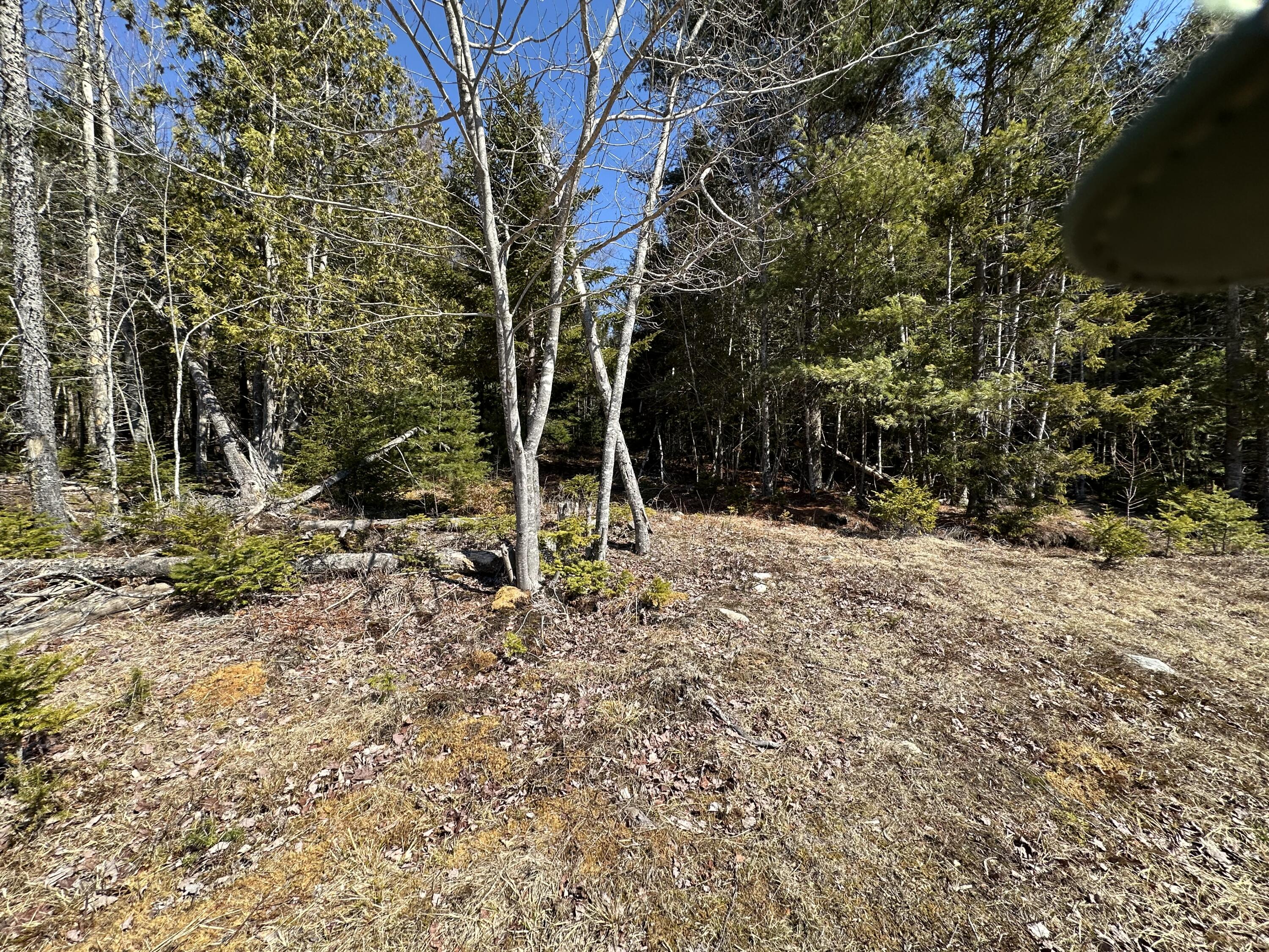 Lot UNIT&nbsp;0 Morgan Bay Road, Surry, ME, 04684