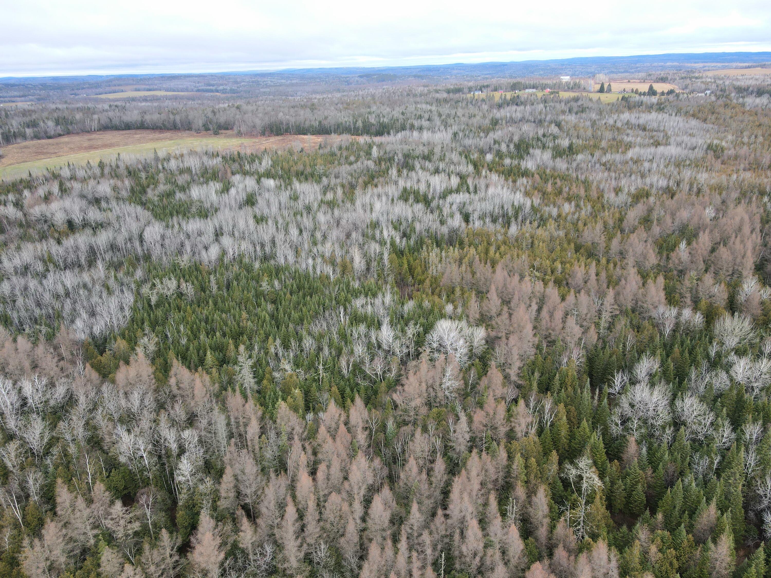 481 Plante Road, Caribou, ME, 04736