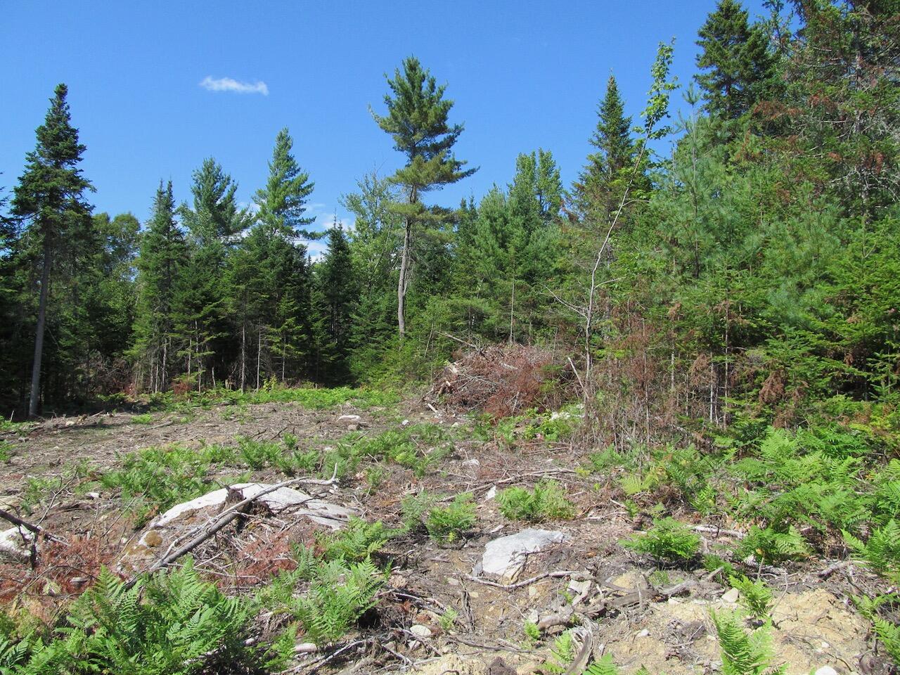 929 Center Hill Road Road, Weld, ME, 04285