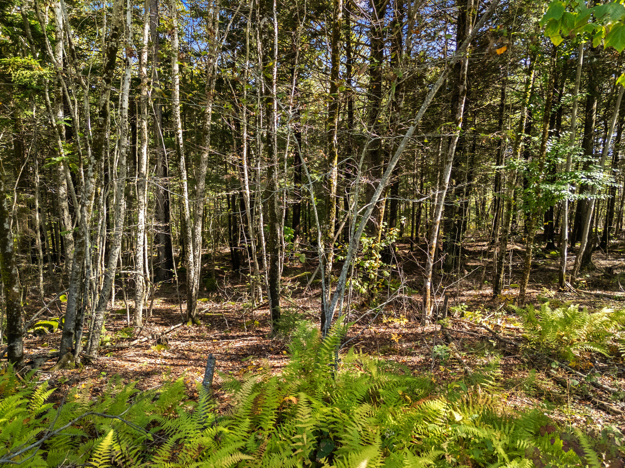 Lot UNIT&nbsp;1 Millay Lane, Union, ME, 04862