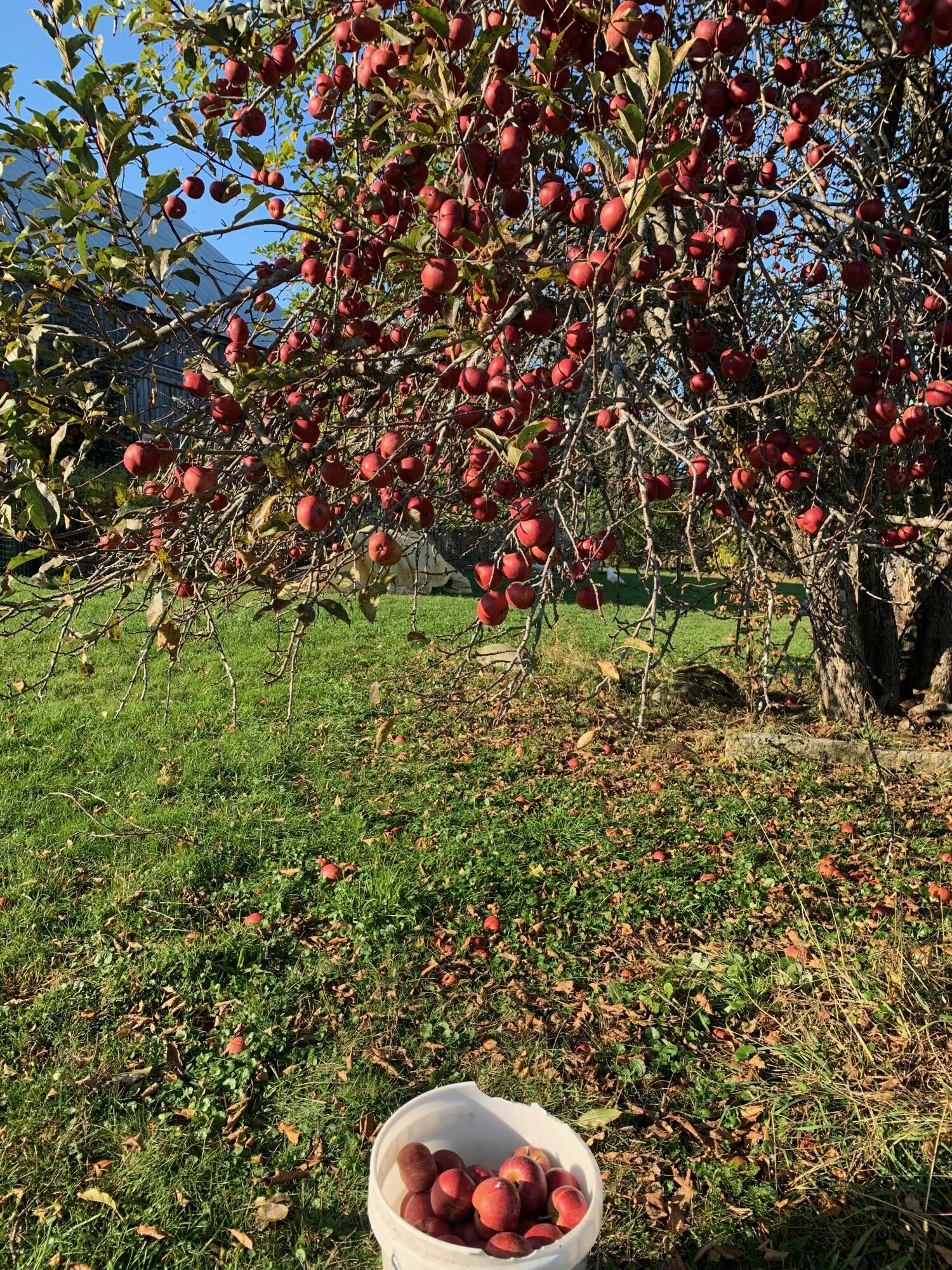 42 Fowler Road, Orrington, ME, 04474