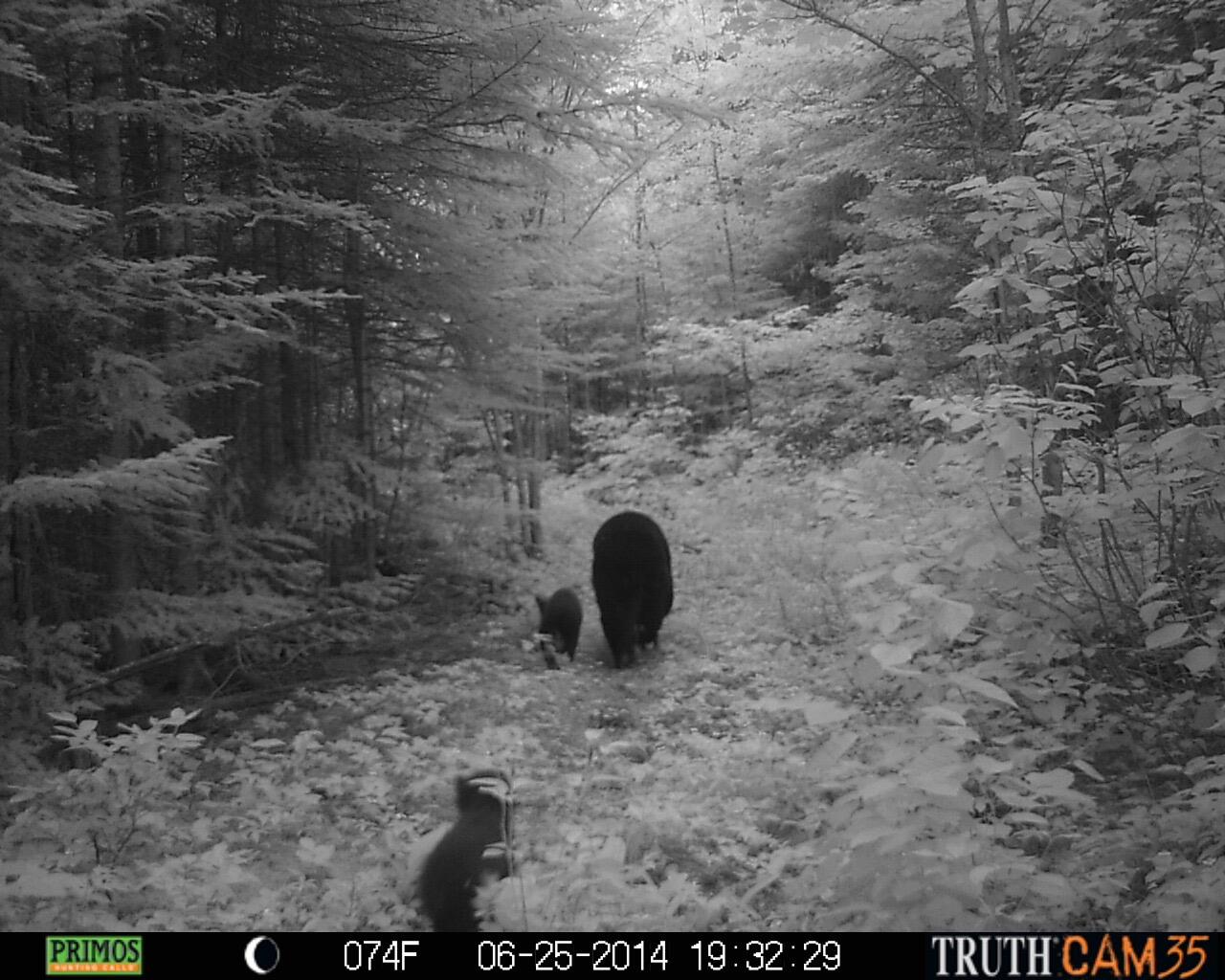 Lot UNIT&nbsp;3 Pleine Road, Saint Agatha, ME, 04772