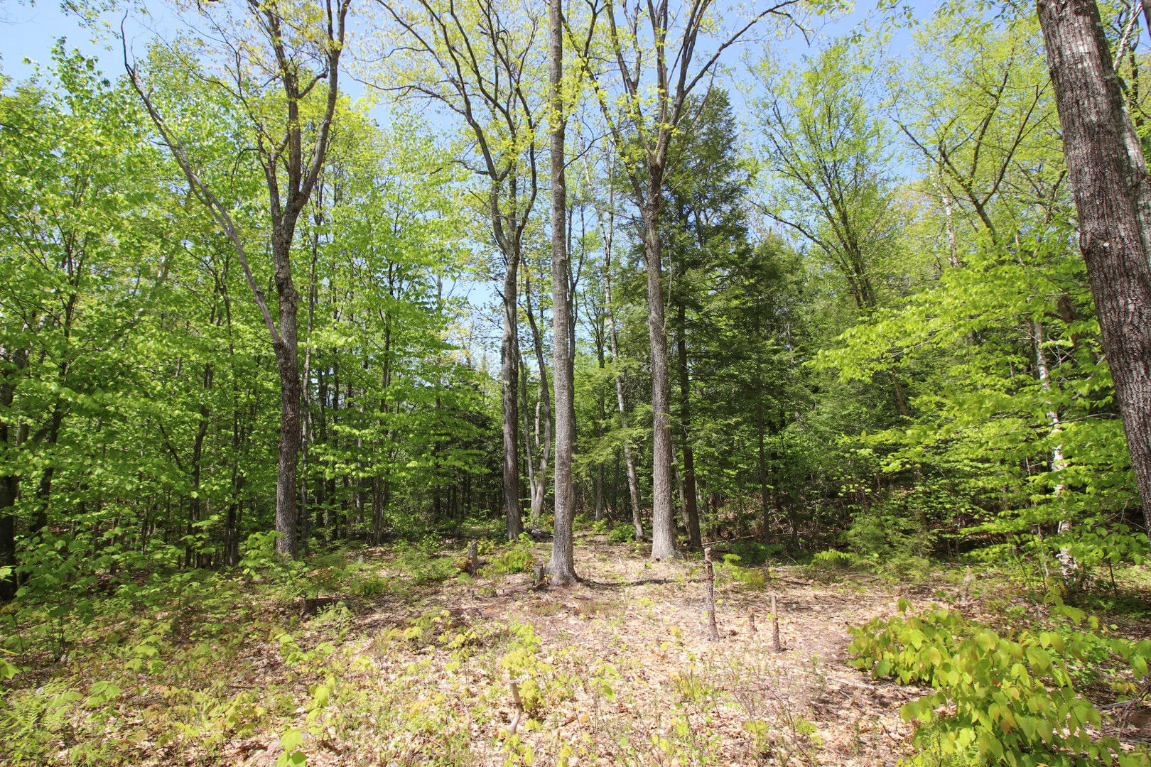 90 Bailey Road, Bethel, ME, 04217