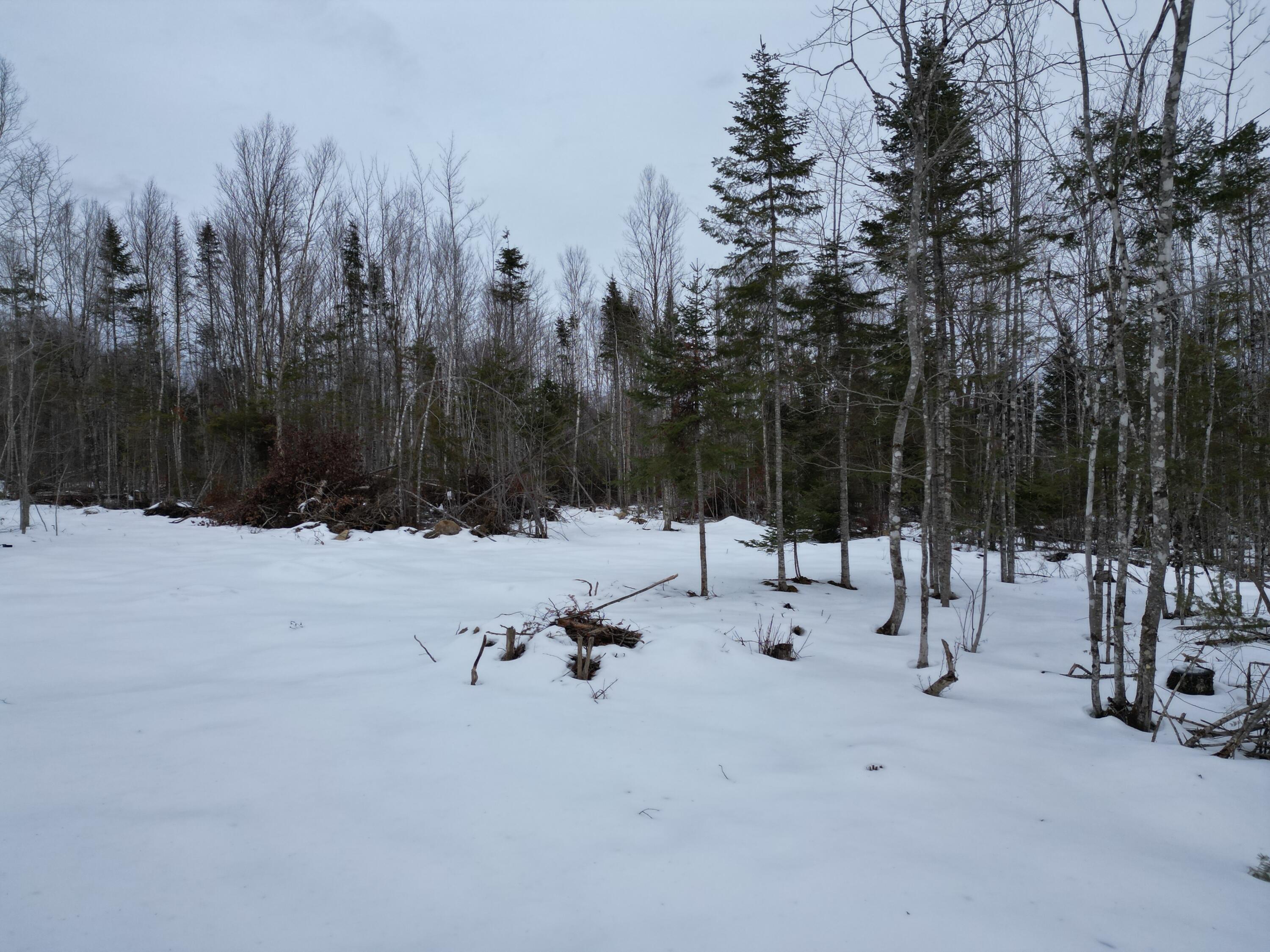Lot 1 Moores Road, Springfield, ME, 04487