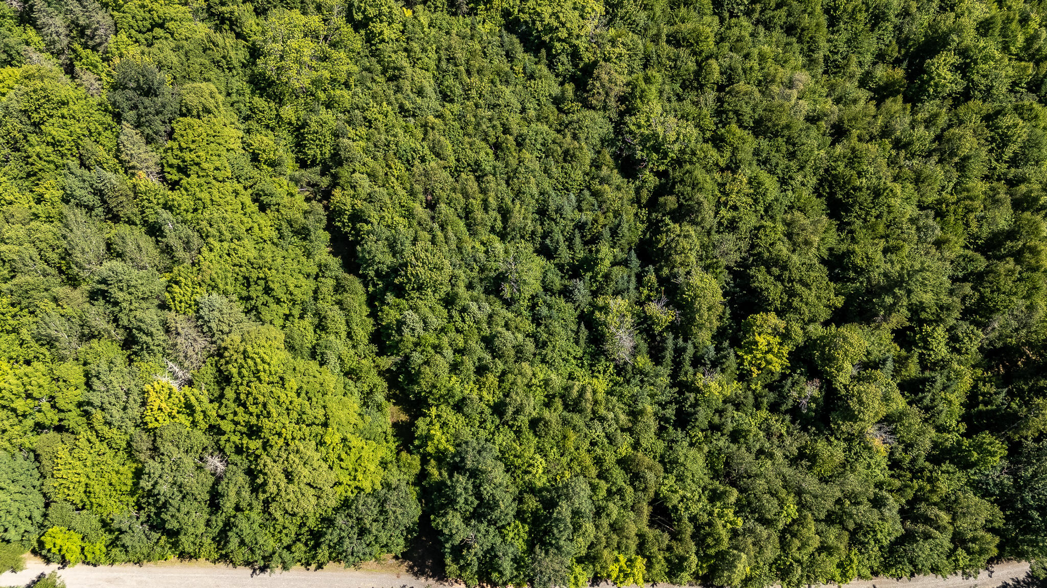 Lot 18-5 Woodland Lane, #Map 2, Brownville, ME 04414 DJI_20260720102423_0121_D