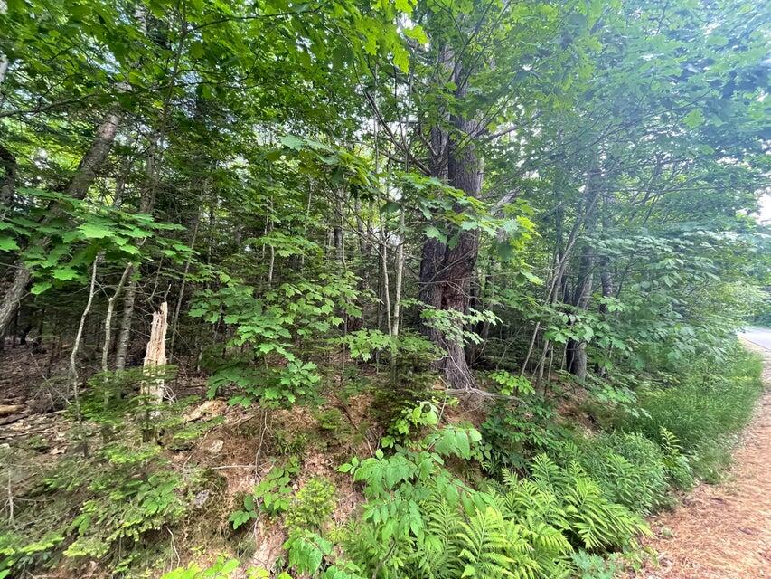 80 Gammon Road, Peru, ME, 04290