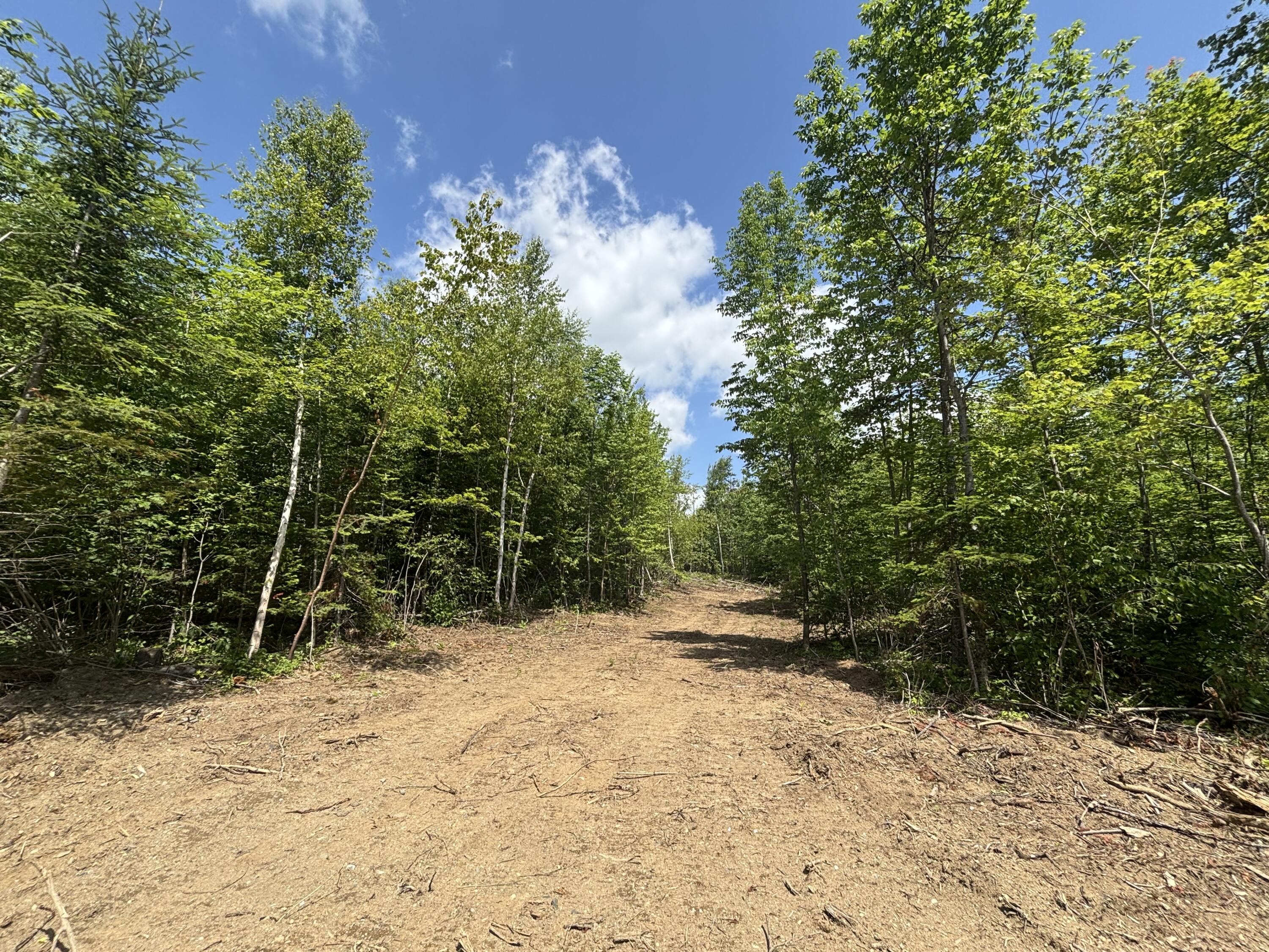 Lot A McDonald Road, Littleton, ME, 04730