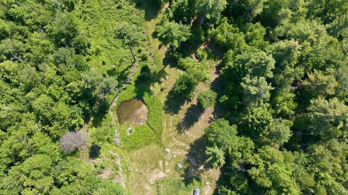 24 Bradeen Road, Sumner, ME 04292 29-DJI_20260629133856_0352_D