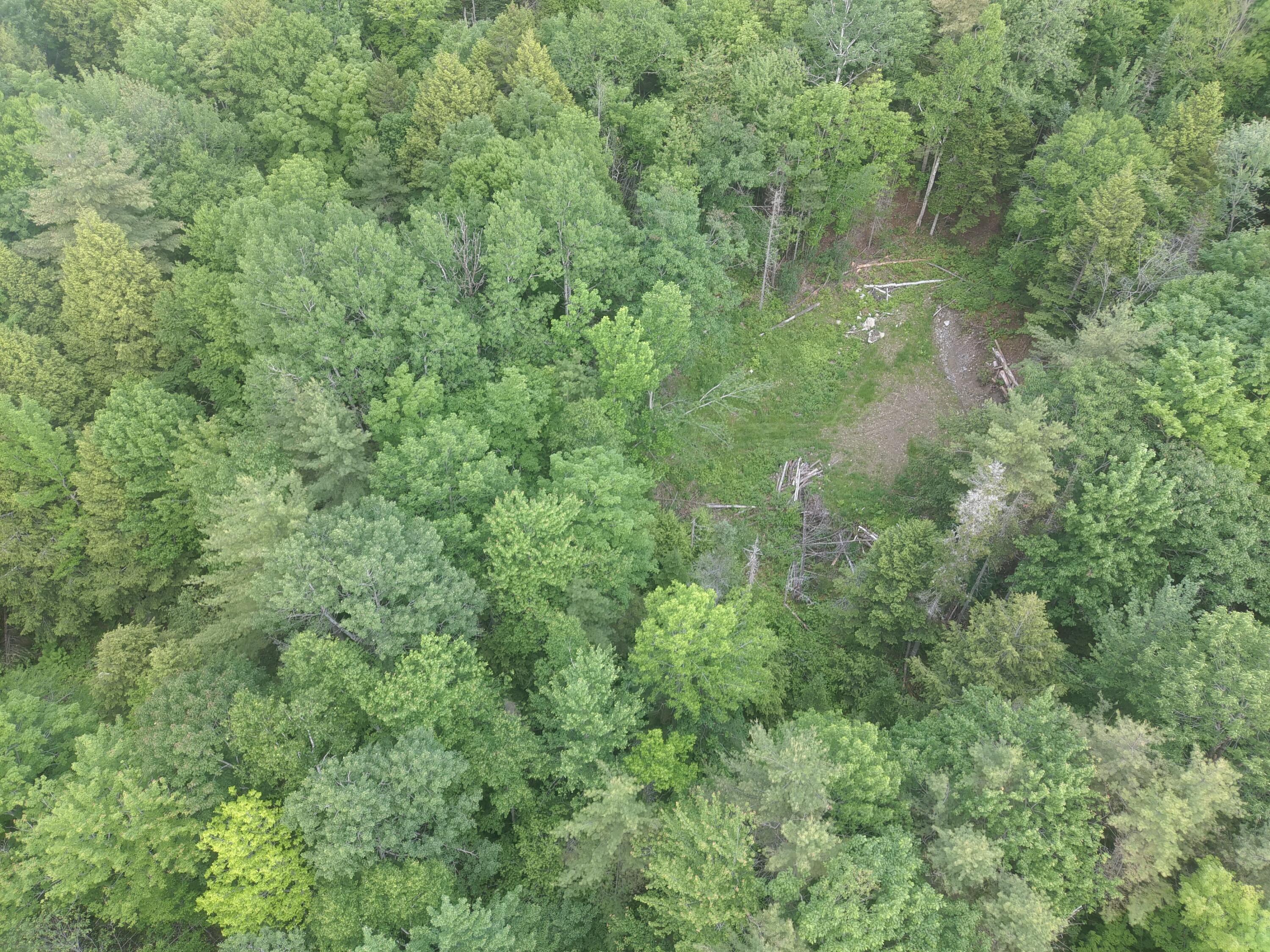 TBD Marks Mountain Way, Dedham, ME, 04429