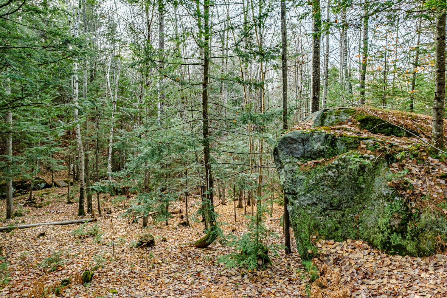 143 Westwood Road, Bethel, ME, 04217-3070