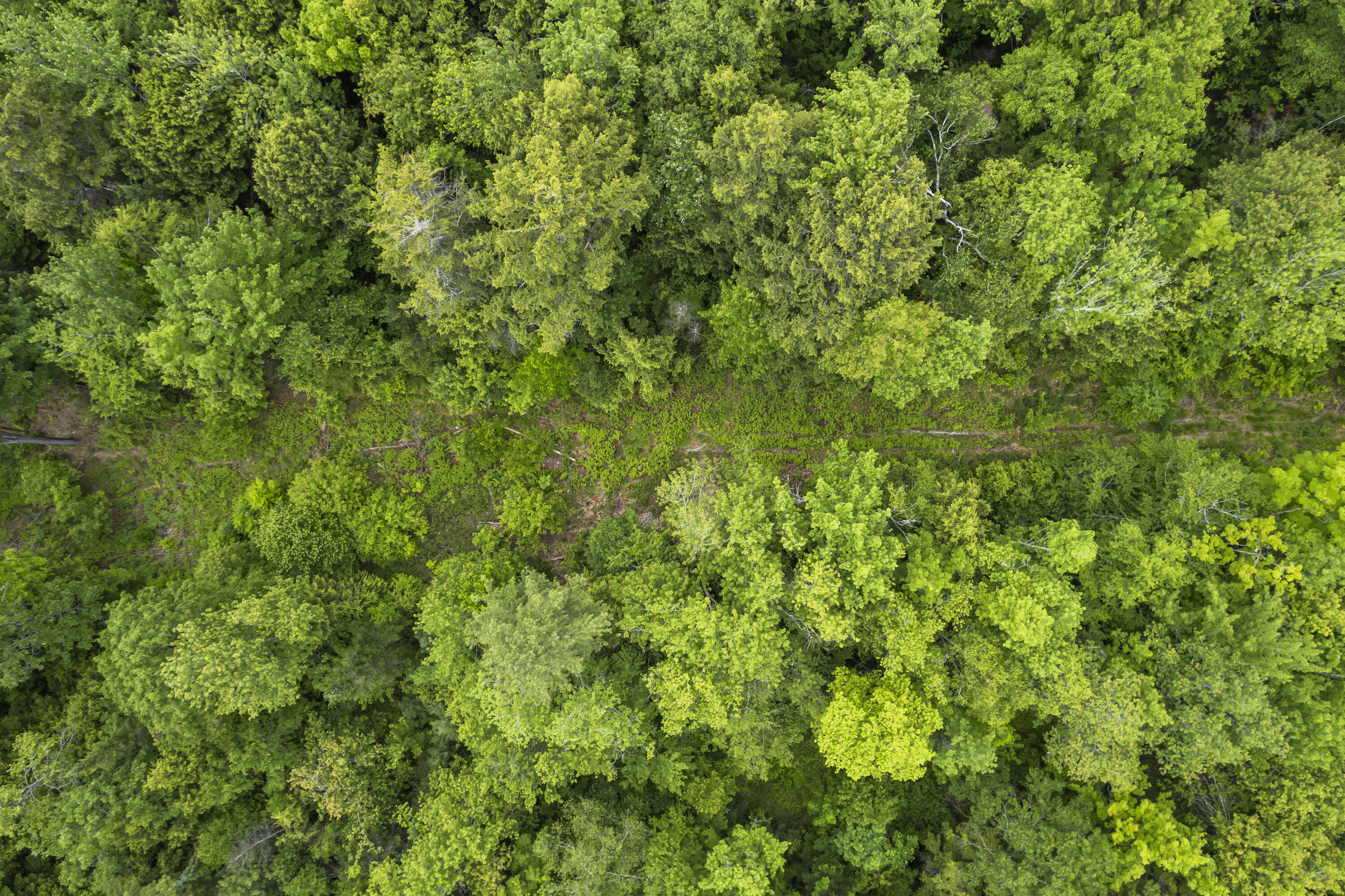 44A Trott Road Road, Woolwich, ME, 04579